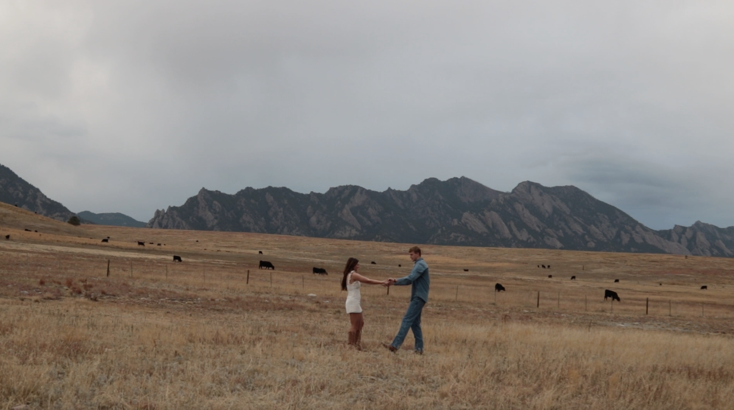 Screenshot 2025-07-26 at 4.09.32 PM.png