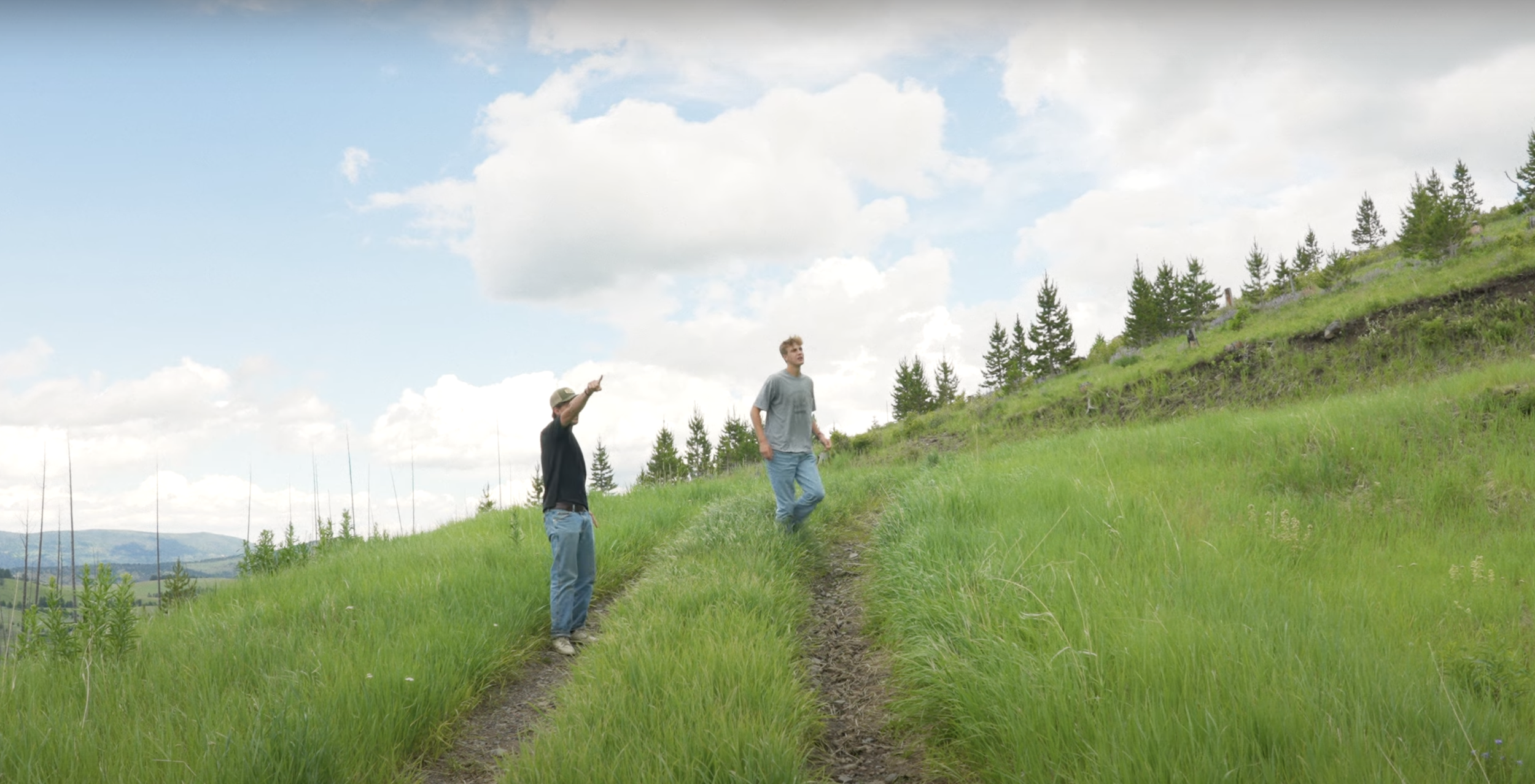 Screenshot 2025-07-26 at 7.54.16 PM.png