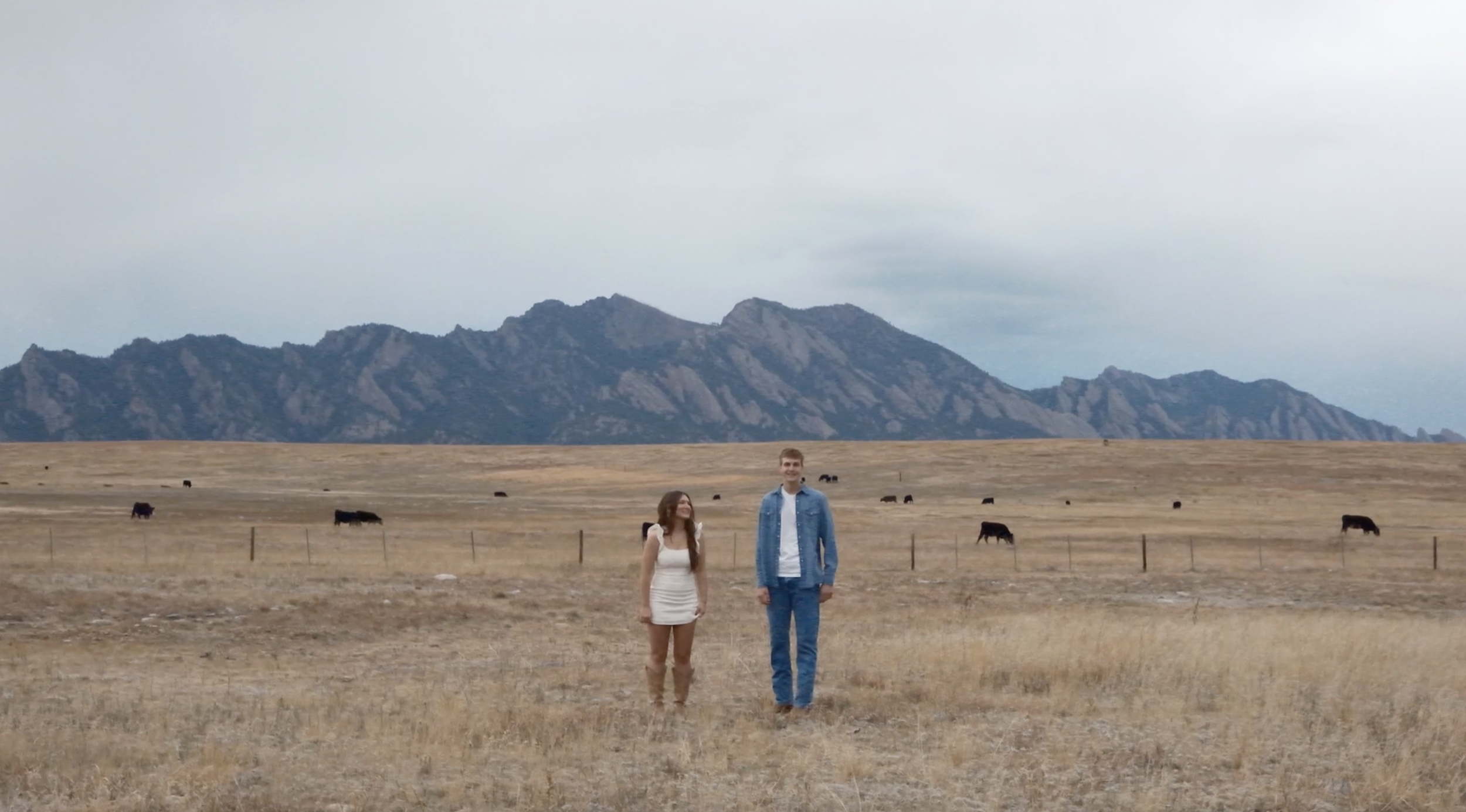 Screenshot 2025-07-26 at 4.03.18 PM.png