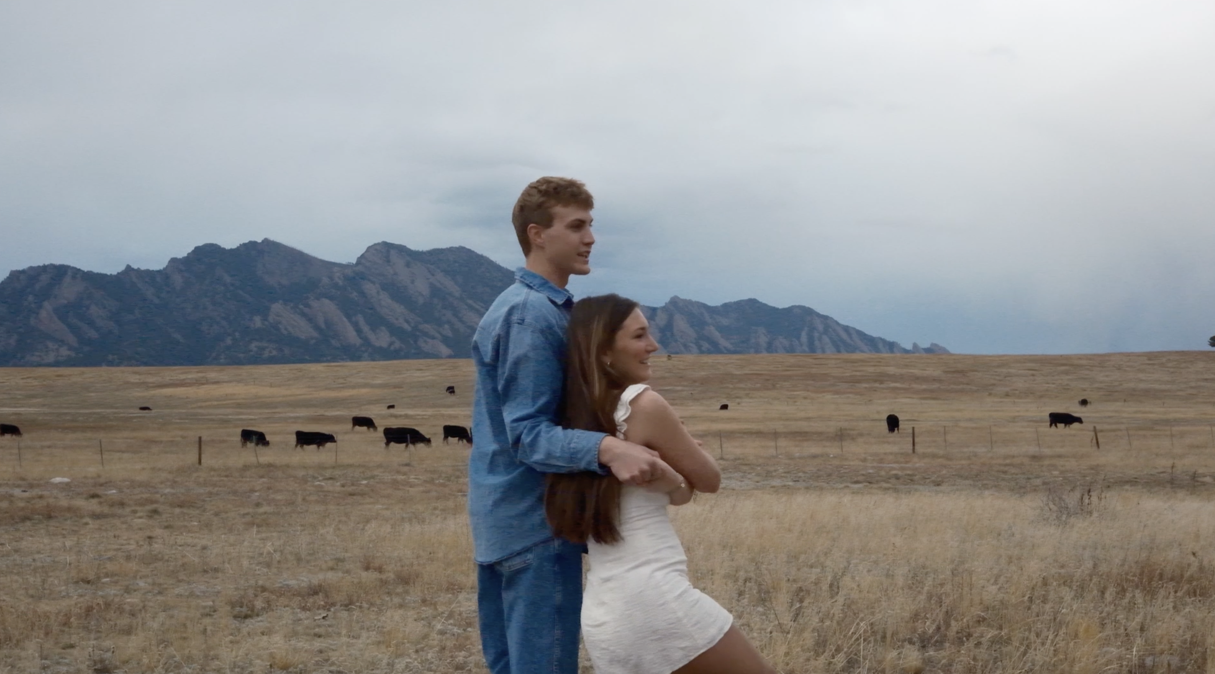 Screenshot 2025-07-26 at 4.08.58 PM.png