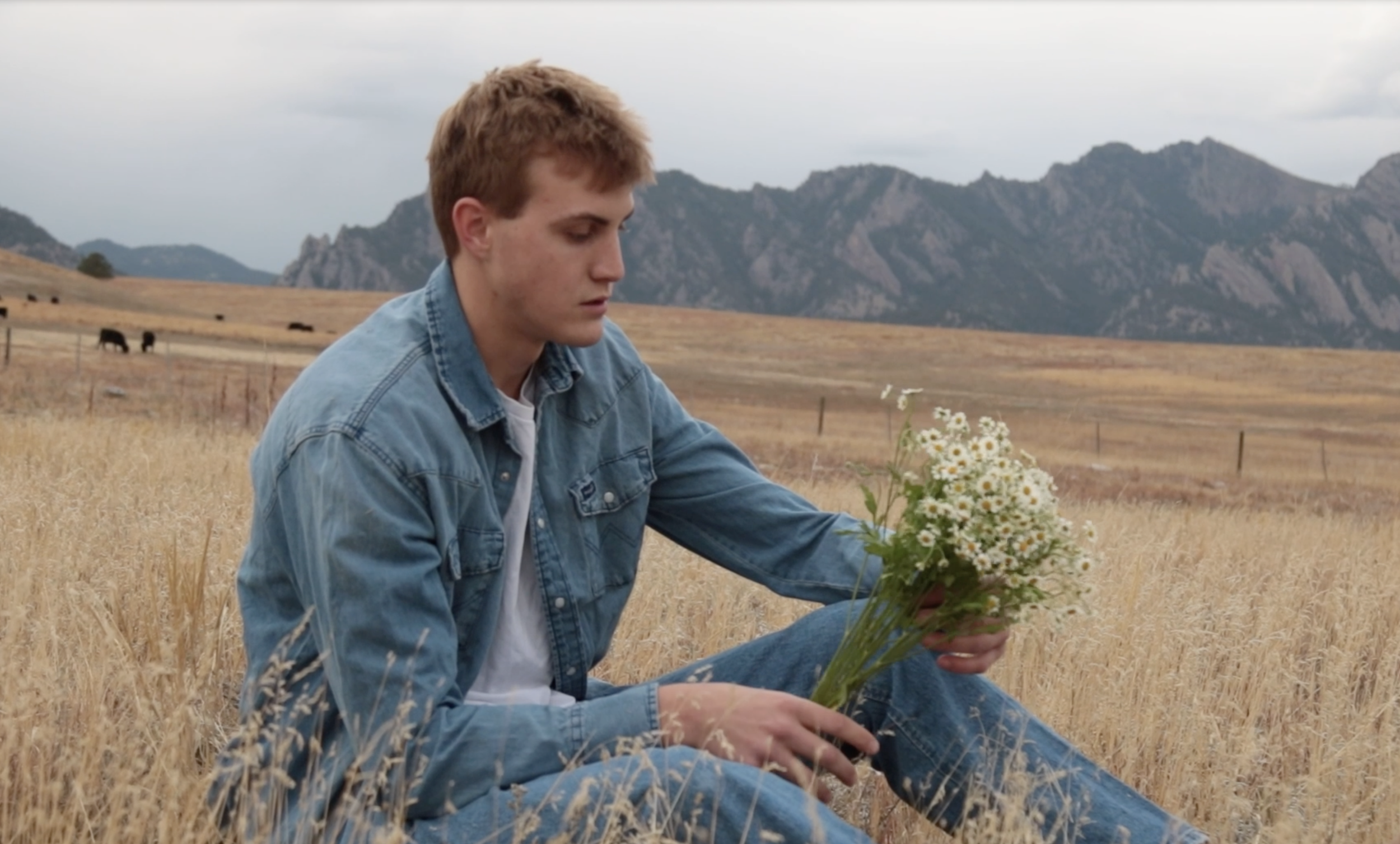 Screenshot 2025-07-26 at 4.00.36 PM.png