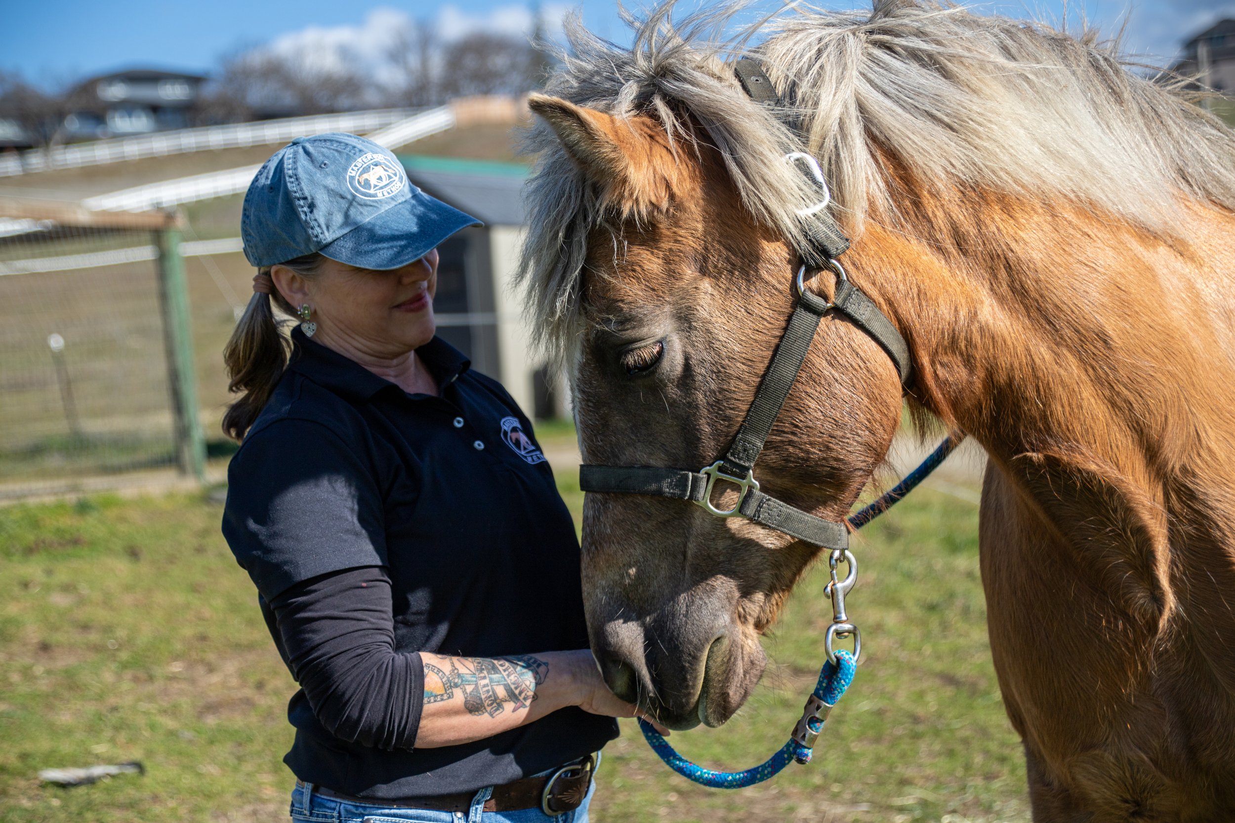 Hands on Harmony Level 2: An exploration of softness