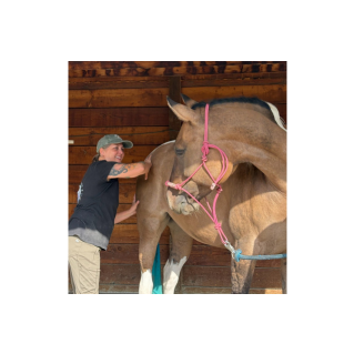 Hands On Harmony Level 1 Mt. Shasta, California