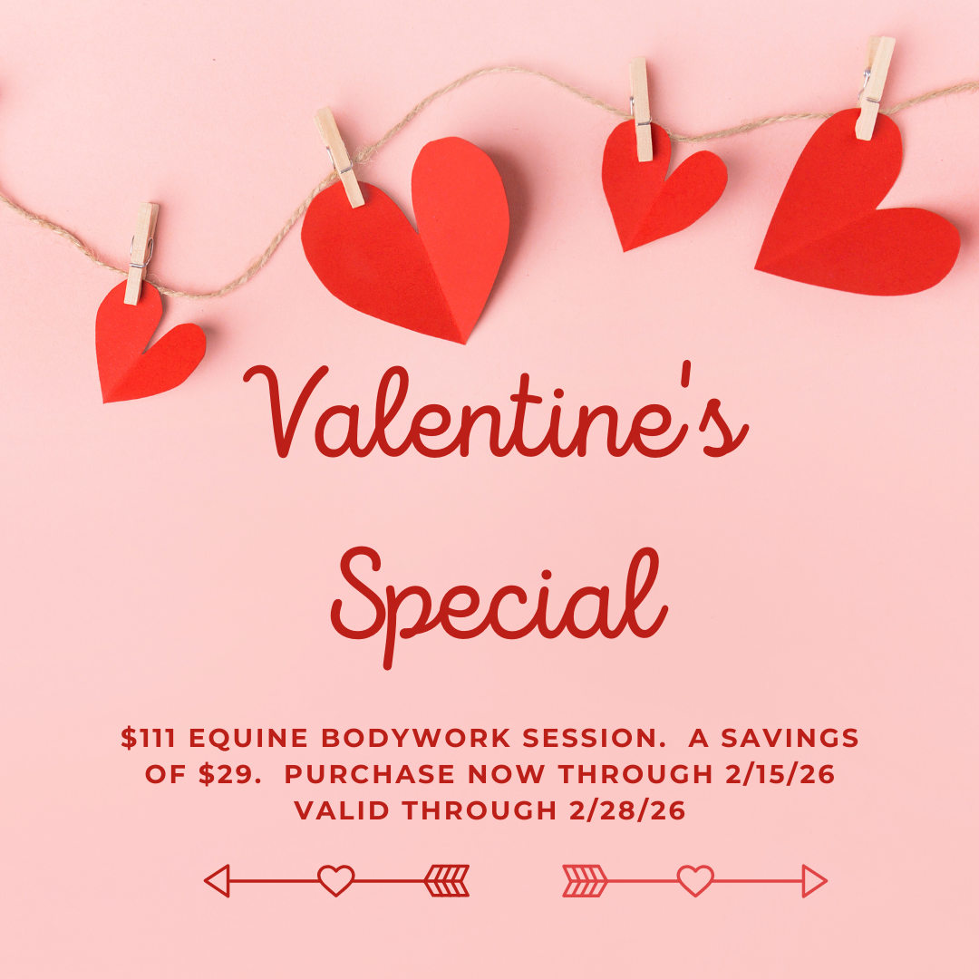 Valentine's Equine Bodywork Special