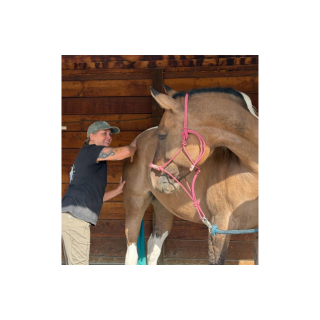 Hands on Harmony Level 1 Mt. Shasta May 17, 2026