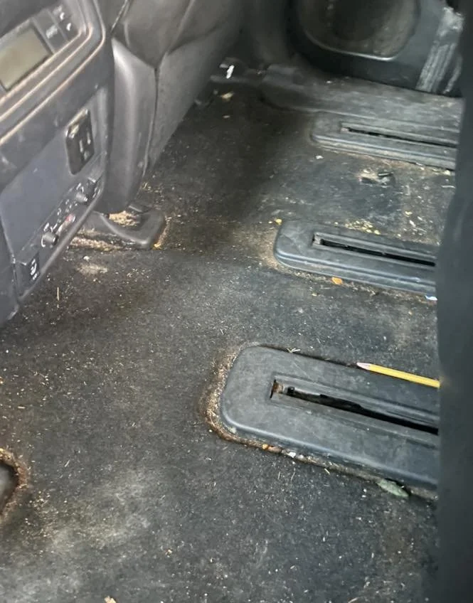 Interior of a vehicle with dirty, worn-out carpeting on the floor and missing seats, showing metal brackets and exposed flooring.
