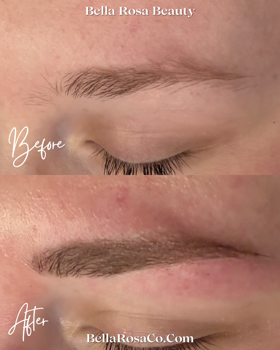 Untitled design (6).png