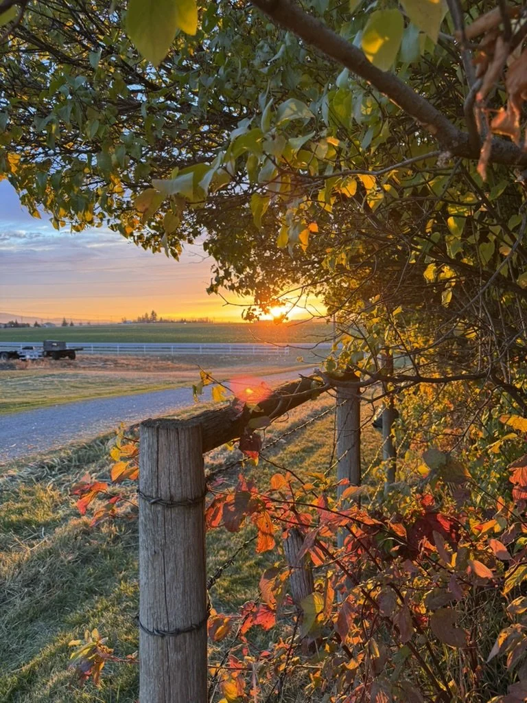 Almost Time to Take Off!