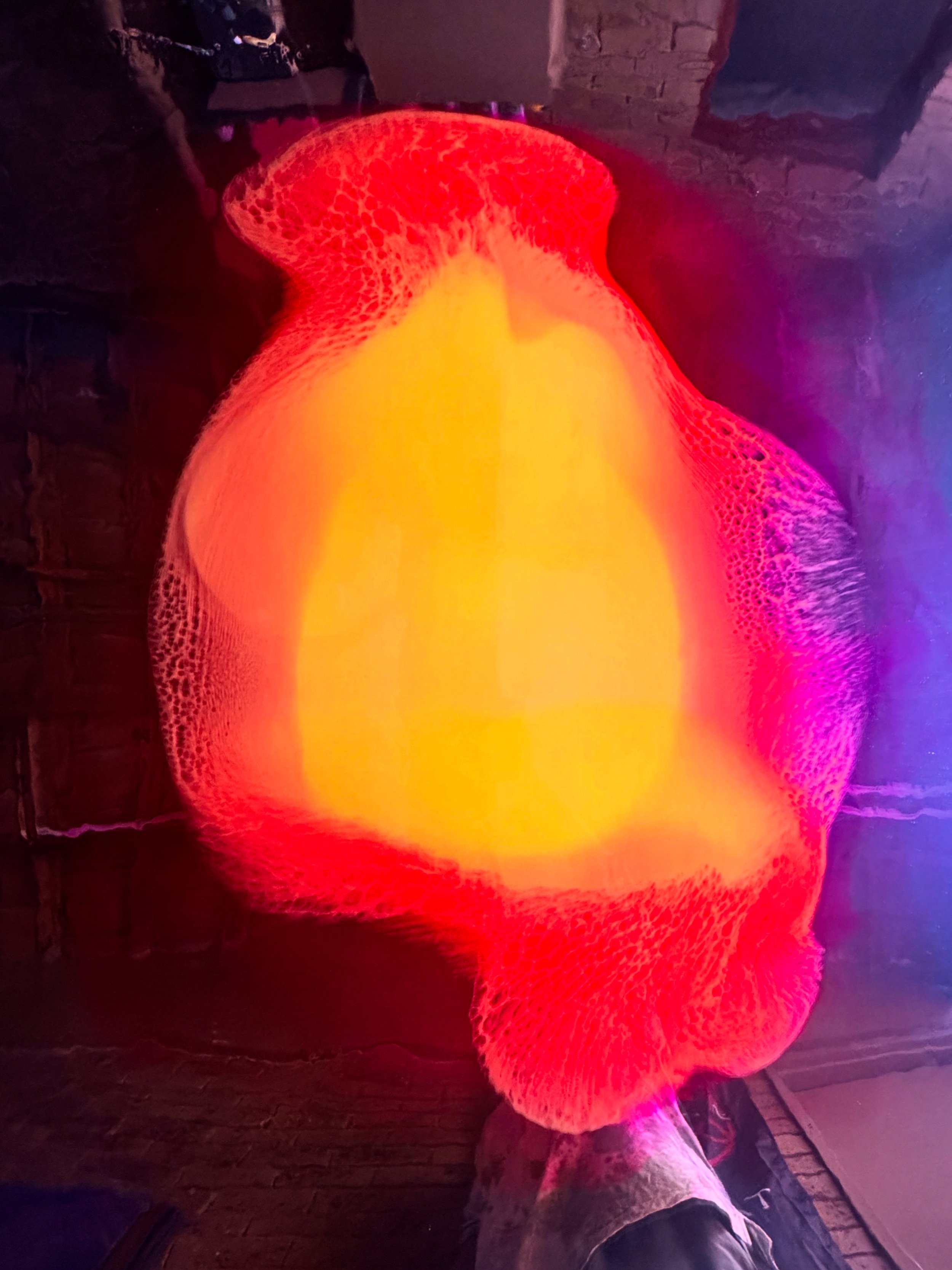 COLOUR FORM
"Solaris"

150x120

$8500