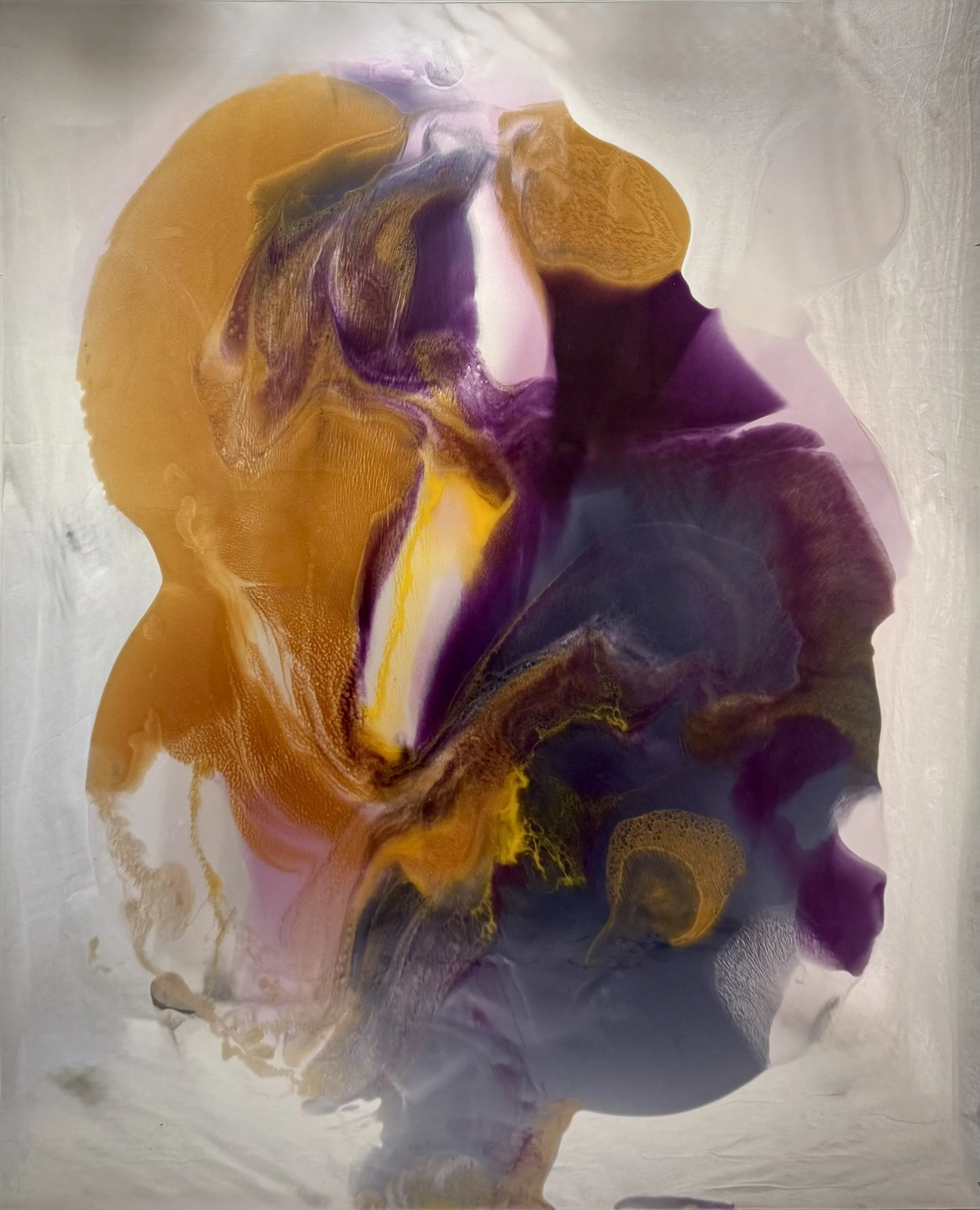 Dragonbloom
150x120
$8500