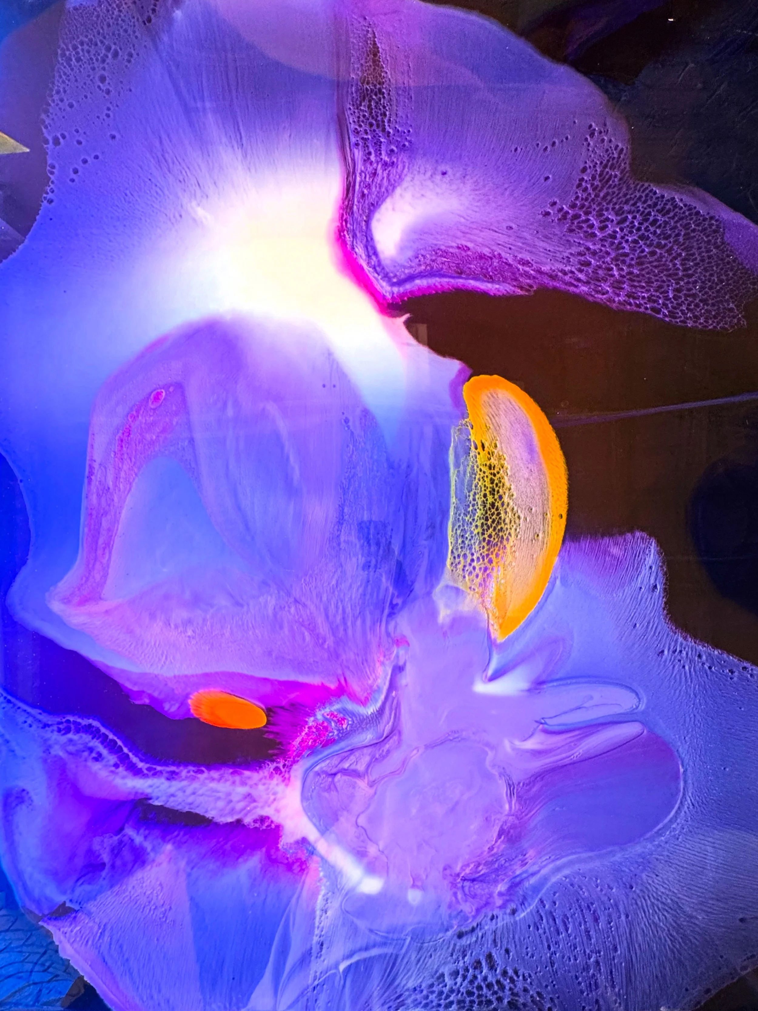 COLOUR FORM
"Genesis I"

150x120

$8500