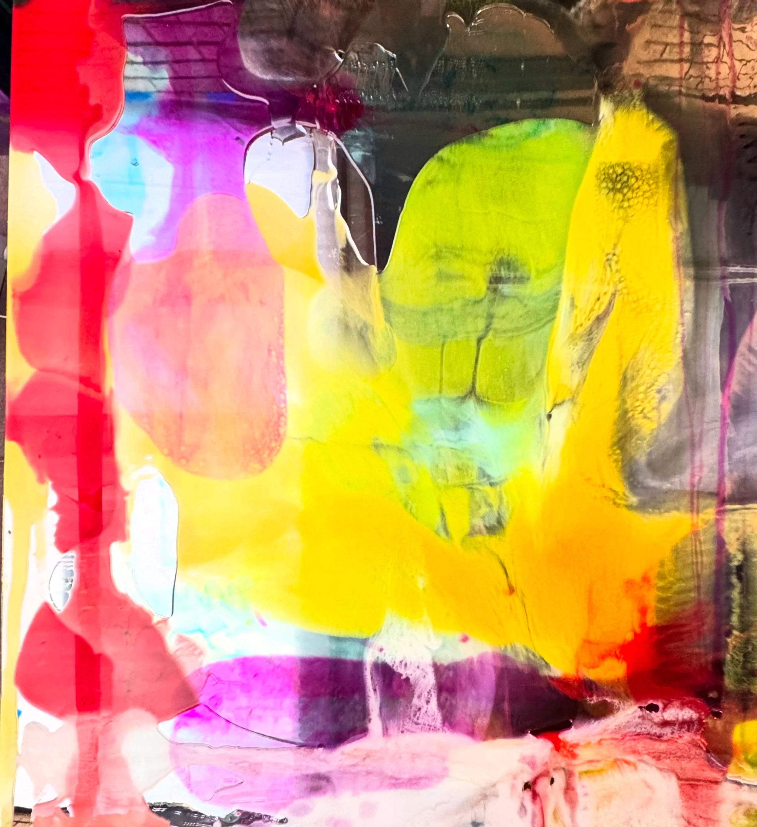 VIVID SERIES II
"In Bloom"

150x120

$8500