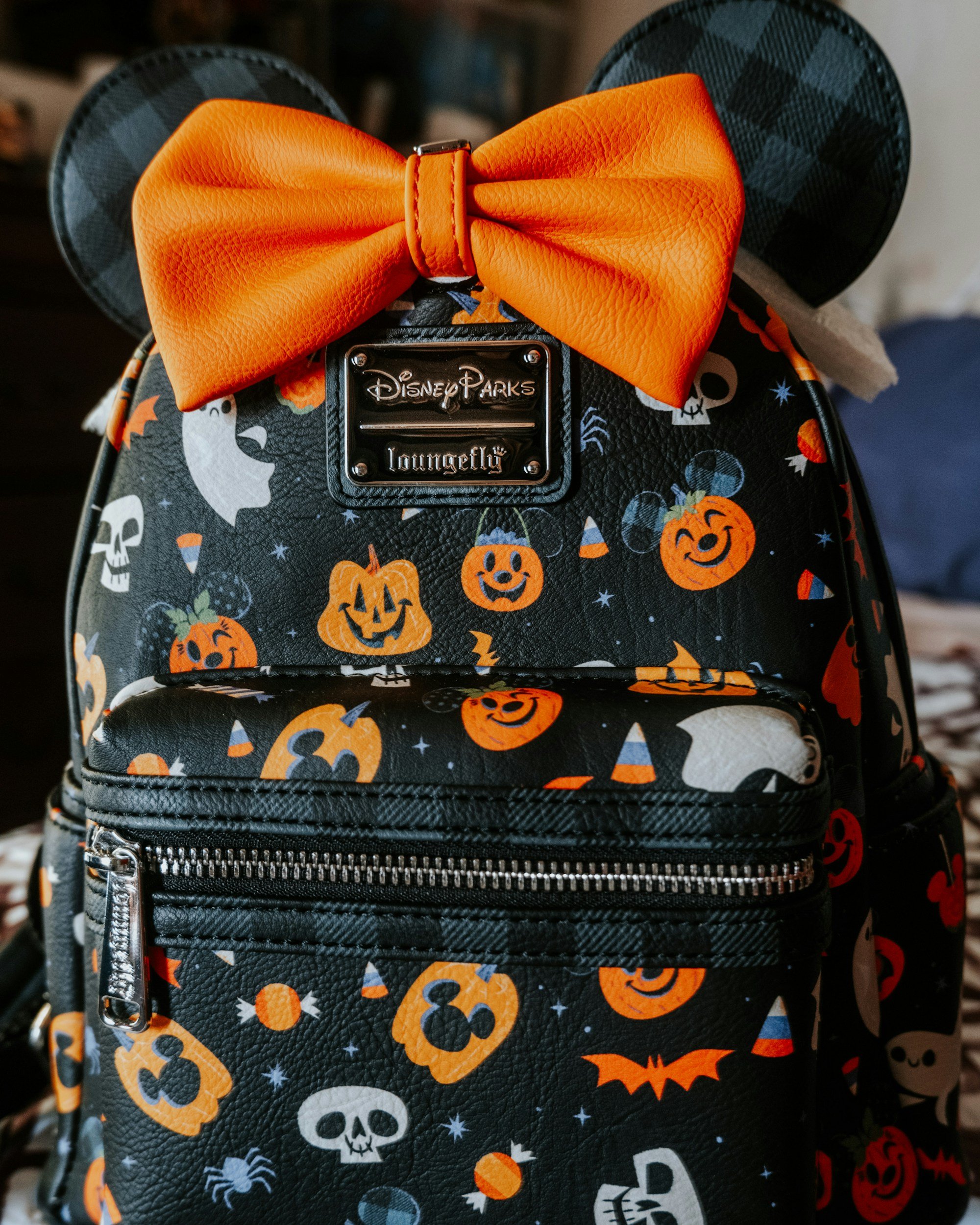 Pumpkin Patch Safety Field Trip