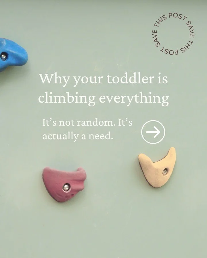 If your toddler is climbing everything at home&hellip; you&rsquo;re not alone.

And it&rsquo;s not something you need to &ldquo;fix.&rdquo;

It&rsquo;s actually a sign they&rsquo;re looking for more movement.

Kids are wired to climb, hang, swing, an