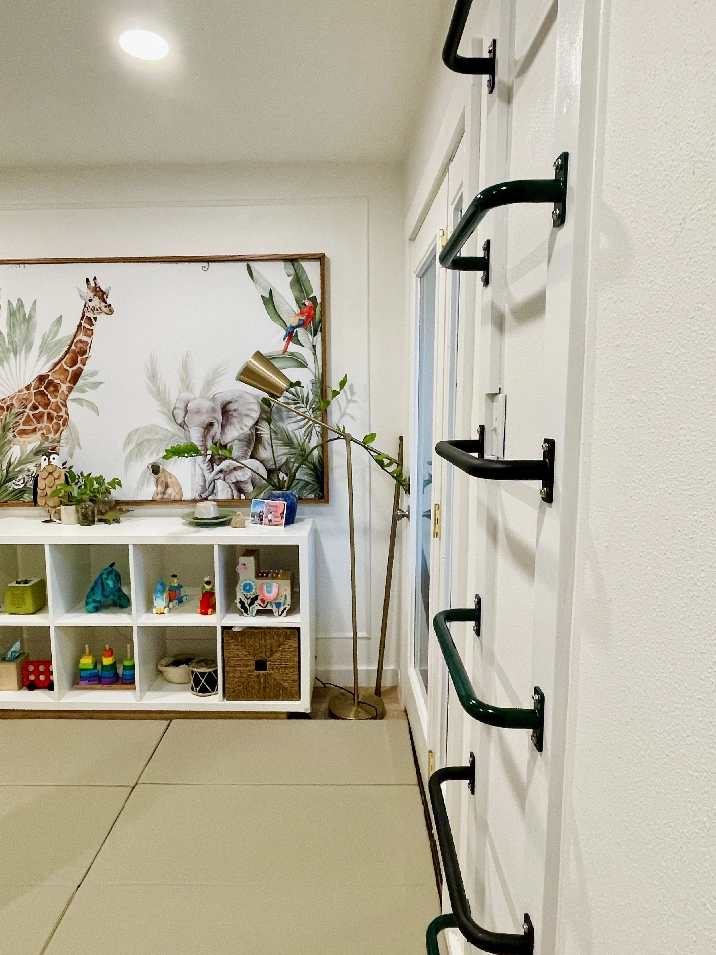 Monkey bars in playroom