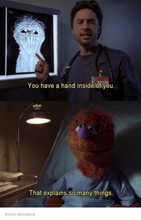 Gross!….Anatomy