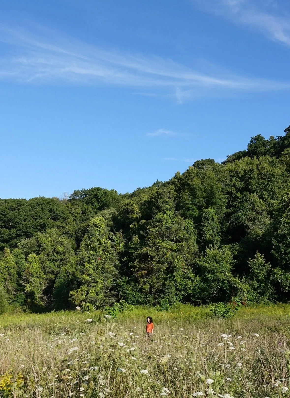 A woman in an orange shirt standing in a field of wildflowers with a dense green forest and a blue sky with wispy clouds in the background.