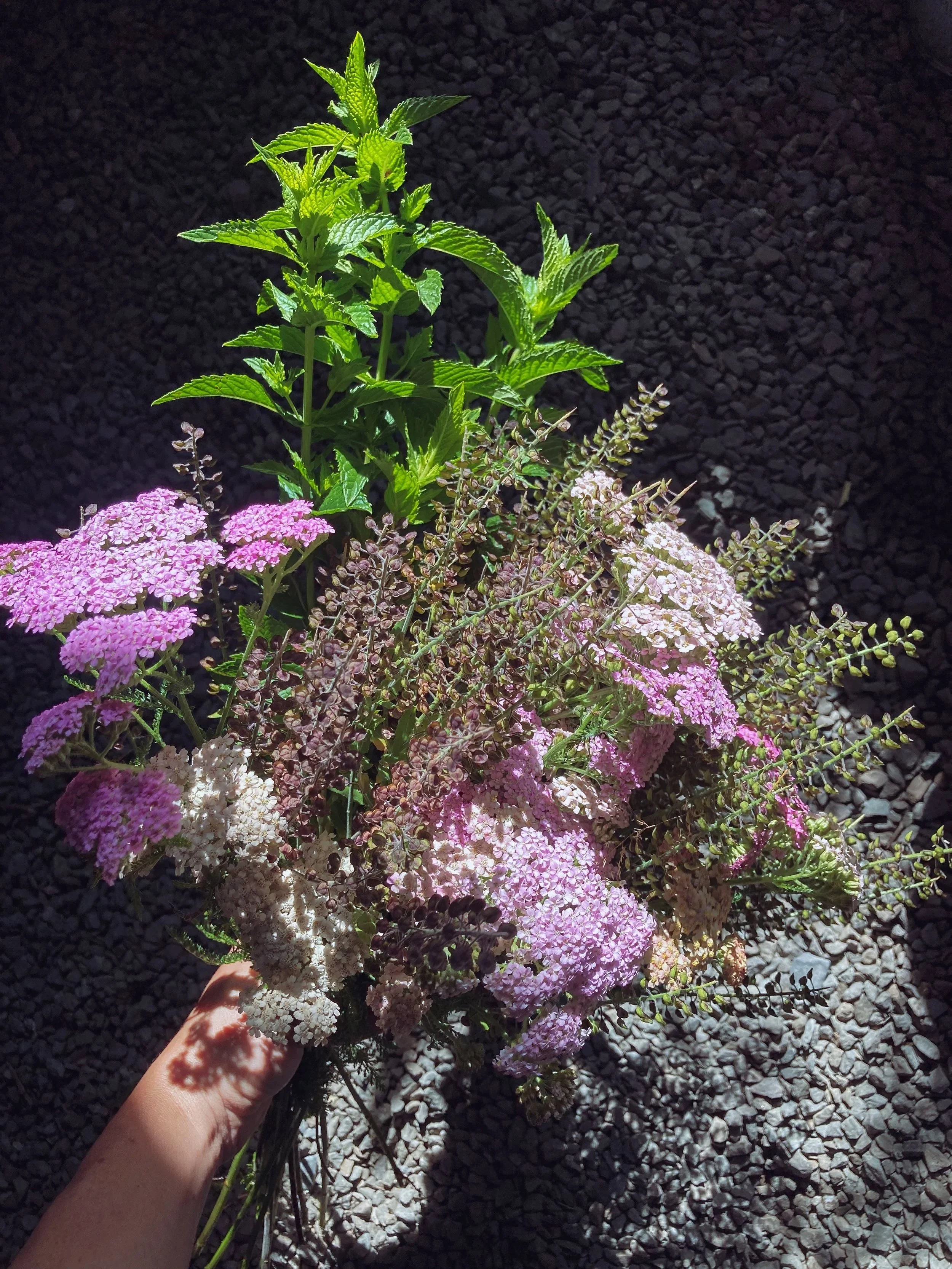A bouquet of pink and white flowers with green leaves, held by a person's hand against a dark pebbled background.