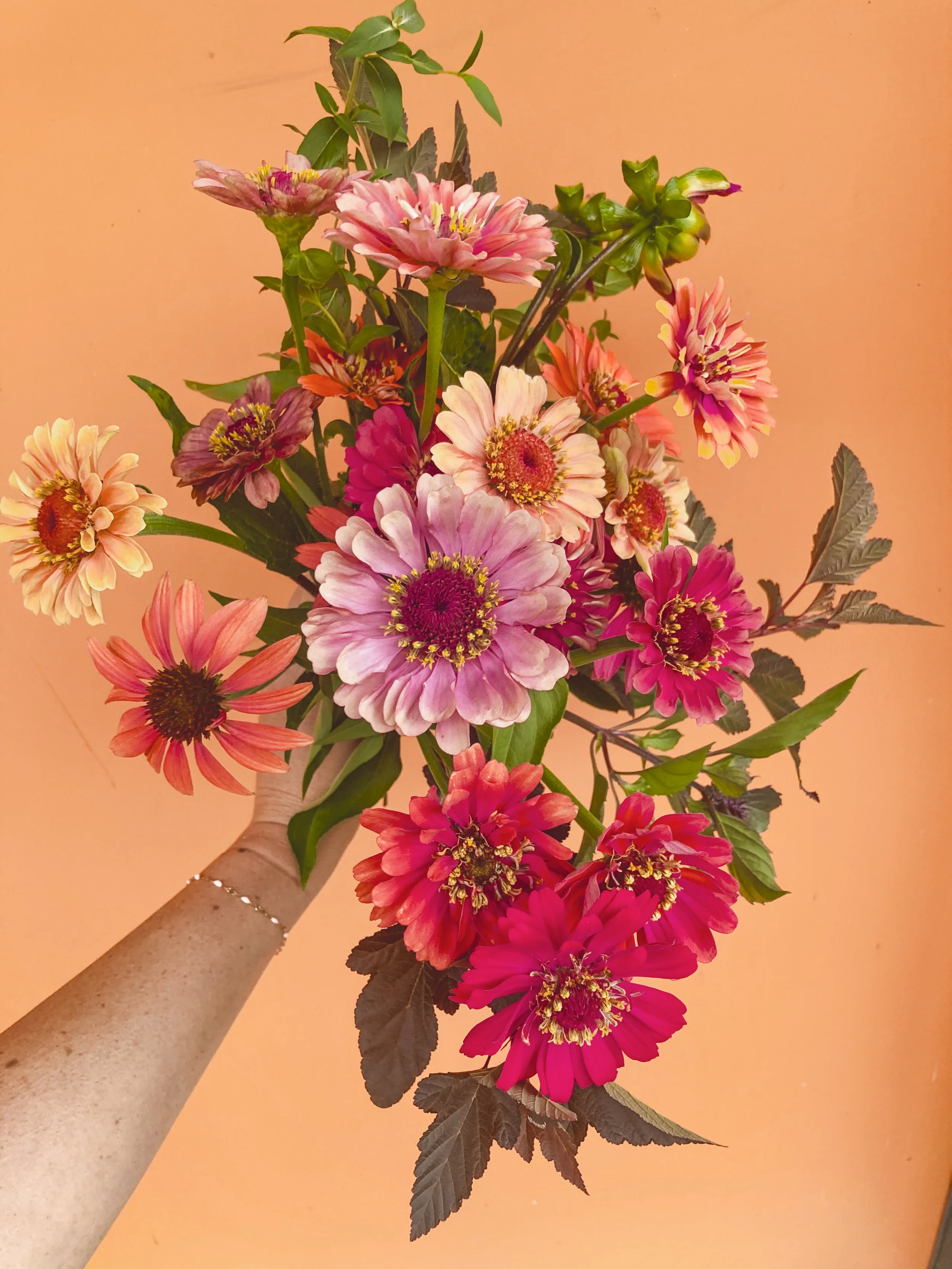 A bouquet of colorful flowers, including pink, purple, white, and red blossoms with green leaves, held by a hand against a peach-colored background.