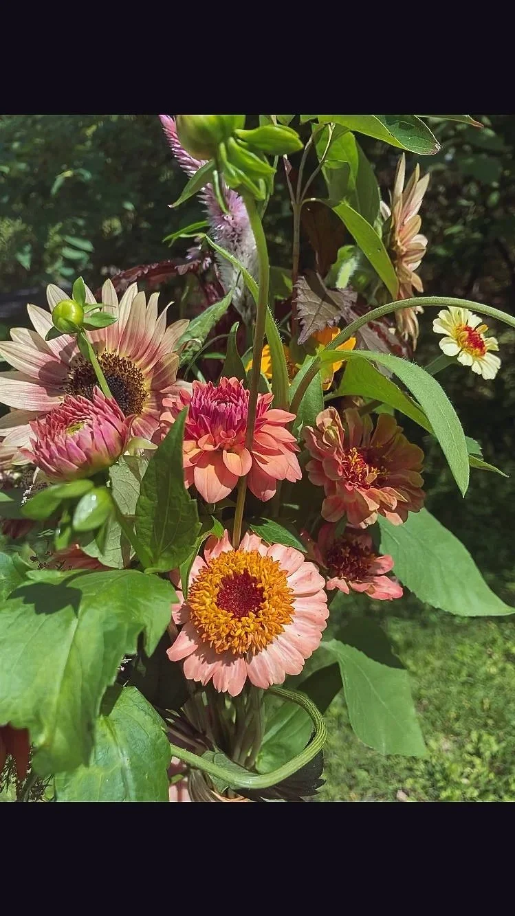 Colorful flowers blooming on green plants outdoors.