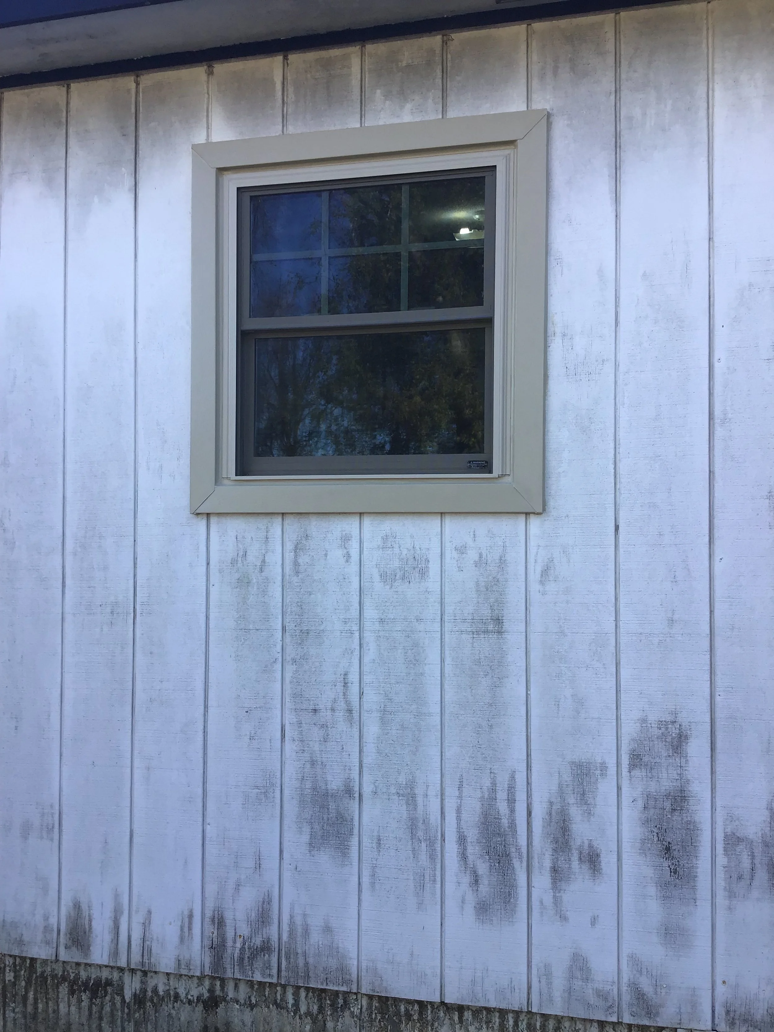 IMG_0146.jpeg