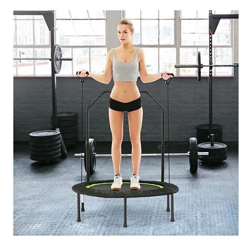 tramp3_500x.jpg