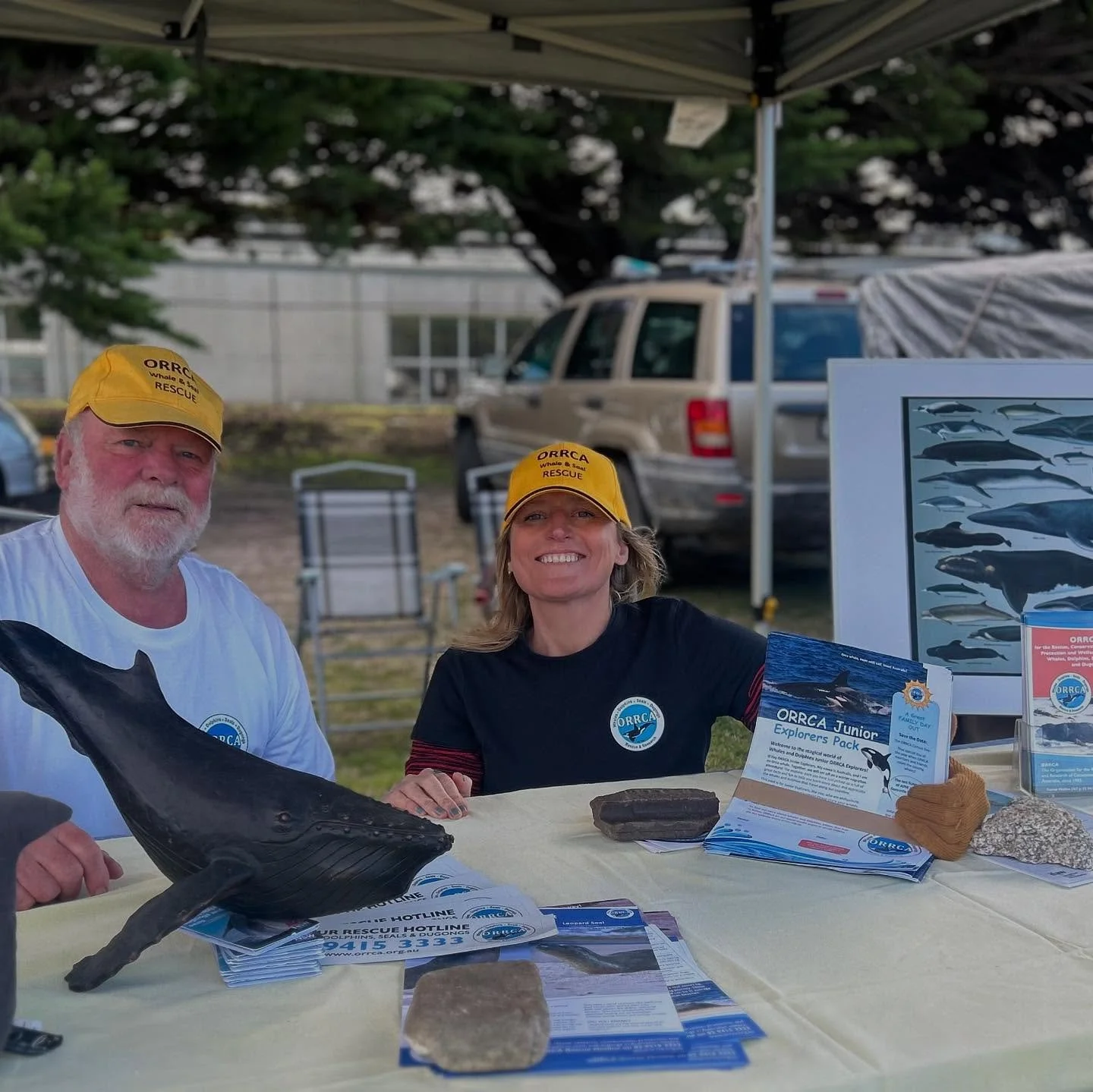 Sunday plans? Before grabbing an @honorbread_narooma brew and checking out the coastal art at @art_room_luke_kelly_artwork gallery today, why not pop and see Salty and Catfish for some whale chat at the @orrcaaustralia stand @naroomarotaryclub market