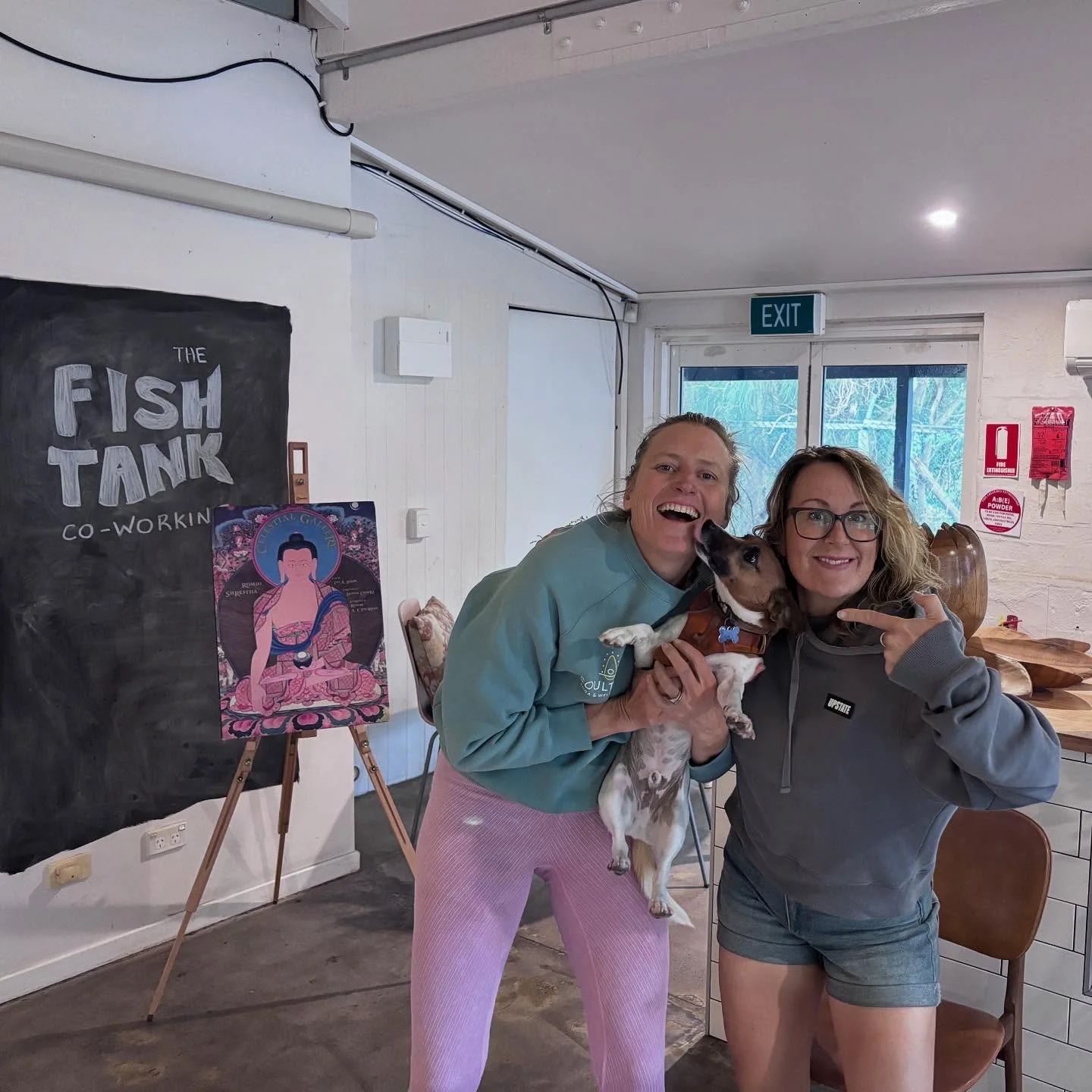 There&rsquo;s another Cat in the tank! @catml &hellip;
And a dog

Love getting visitors in the Fish Tank, especially the new fish tank! Watch this space for our open day / coffee and chai and yoga fun next month in collaboration with @clarelovelace @