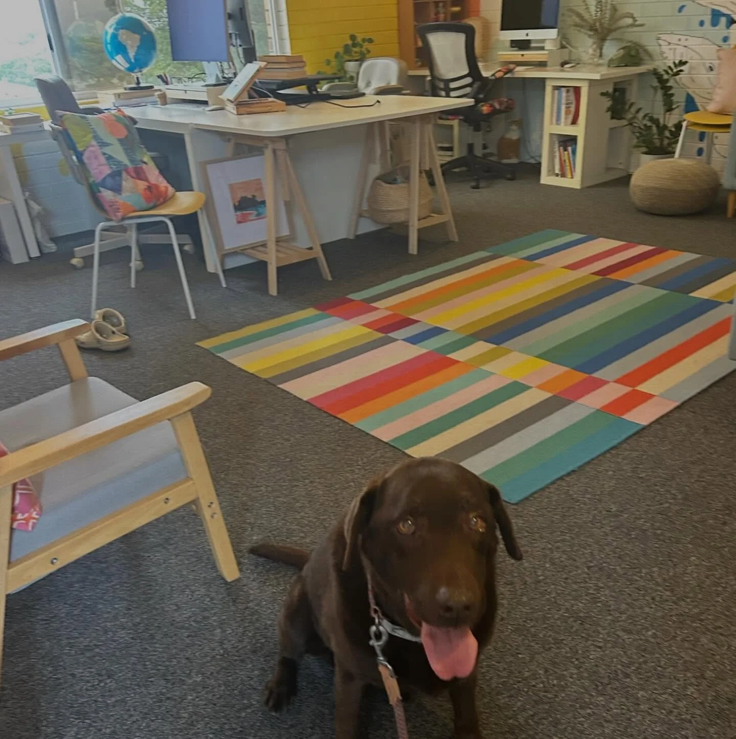 Is your office dog friendly? 
Well, it&rsquo;s essentially a human-friendly co woofing space.. meet Yuca, she&rsquo;s 15 and came in with Alejandra &amp; Rido for the last two days! Only sunflowers 🌻 could add more joy.