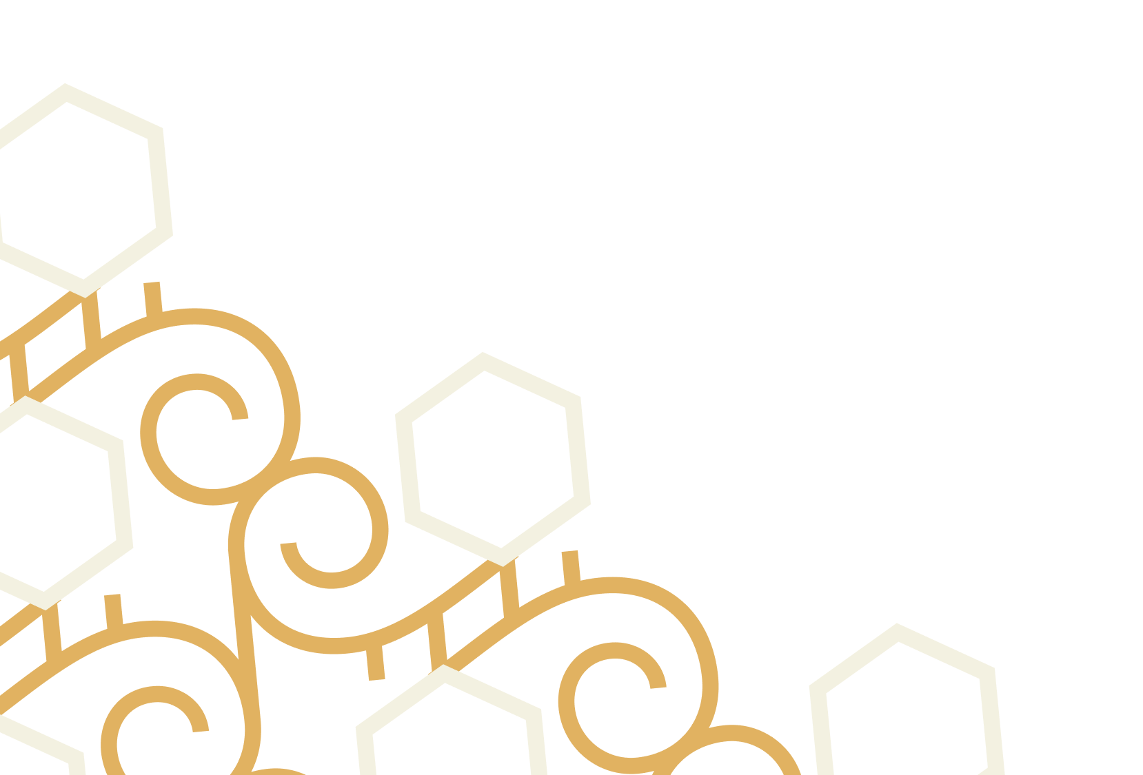 Illustration of interconnected hexagons and curving lines in white and gold on a black background.