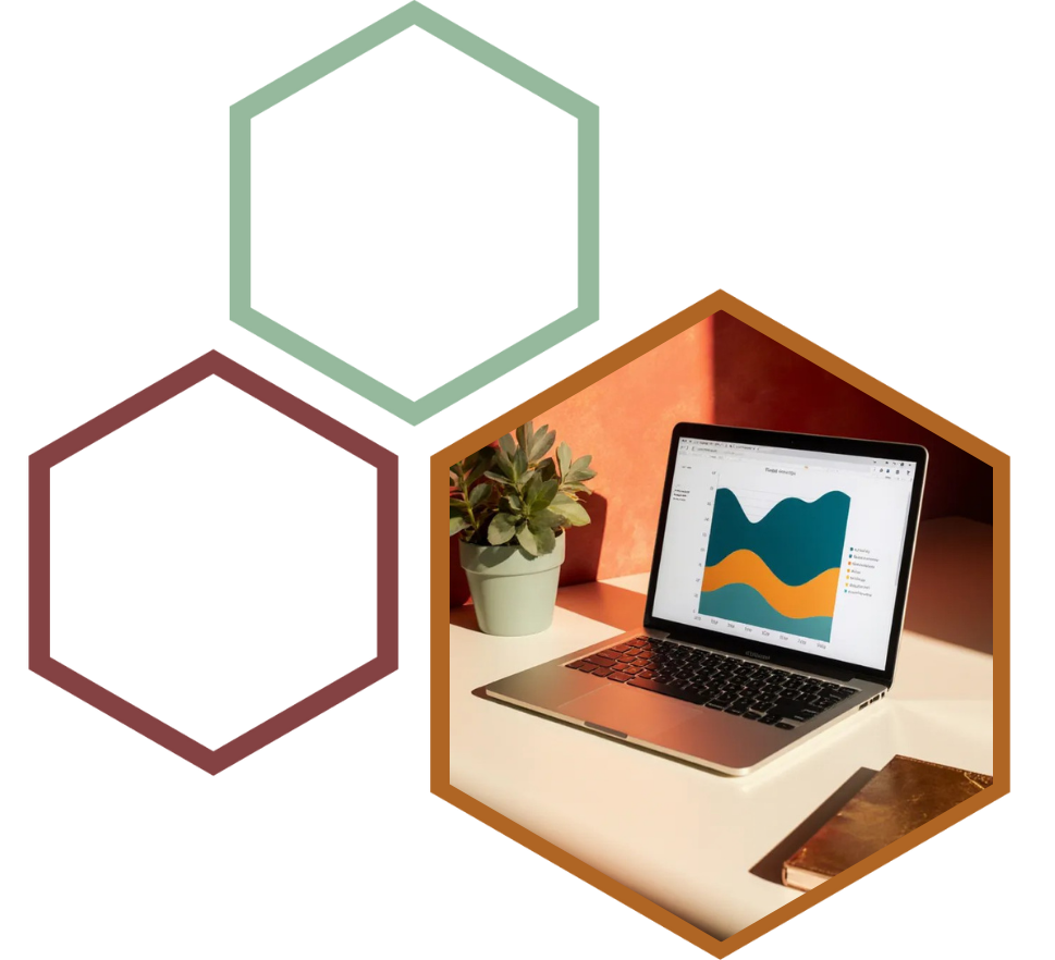 Laptop displaying colorful data charts on a desk with a small potted succulent.