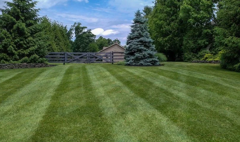A well-maintained lawn with alternating stripes, bordered by trees and a wooden fence, under a blue sky with some clouds.
