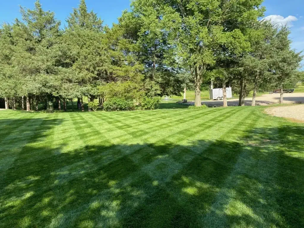 Mowing-Stripes-1024x768.webp