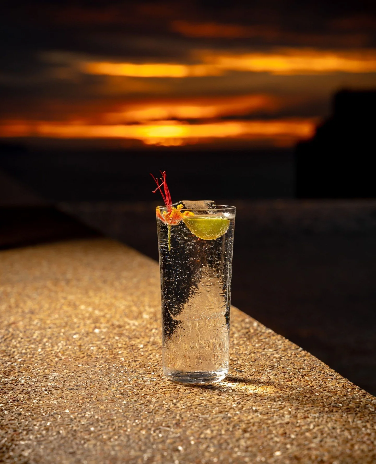 Bright, bubbly, and booze-free.⁠
⁠
Citrus Gin Sling, where freshness meets finesse⁠.⁠
⁠