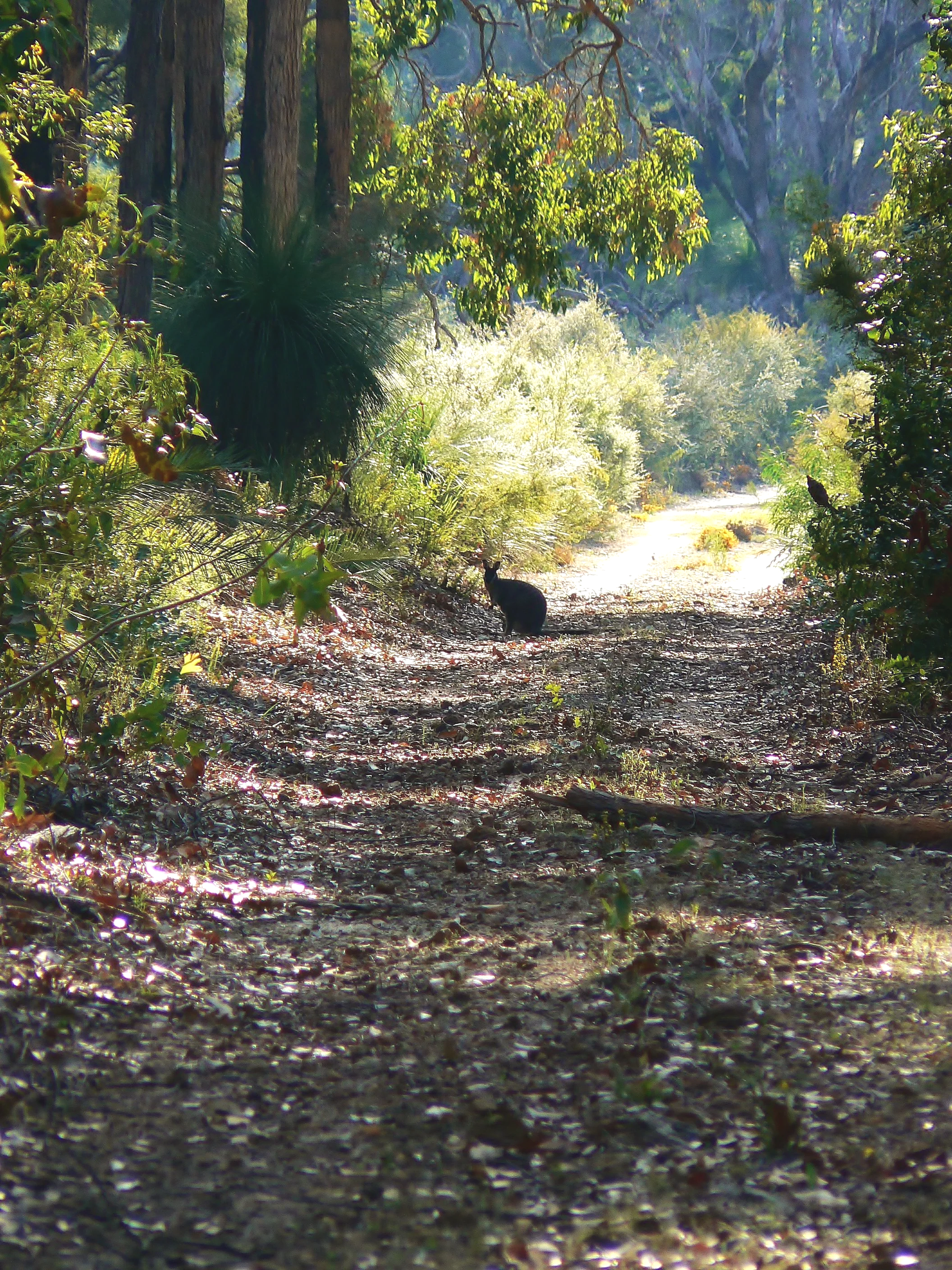 144.png