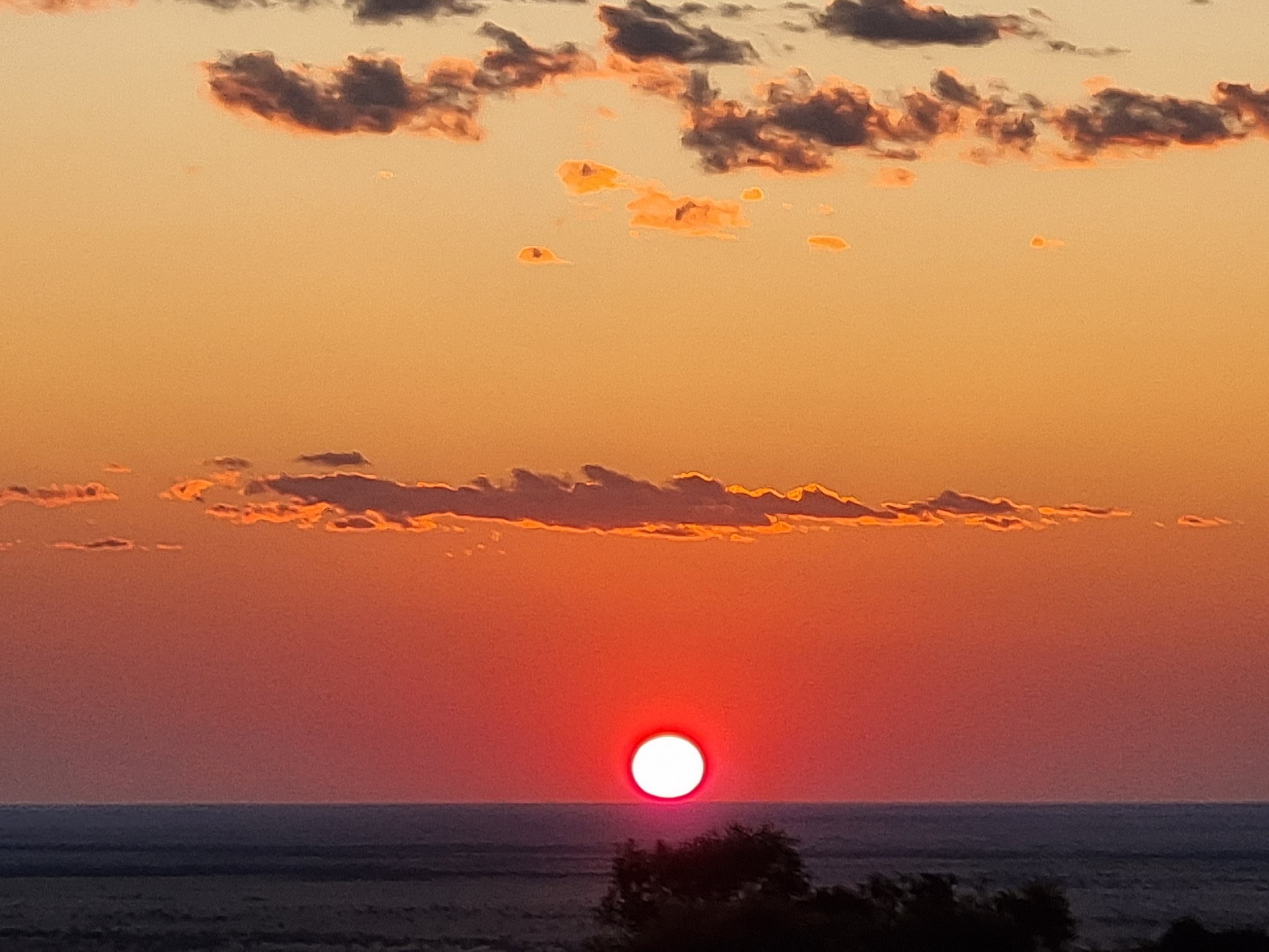 20230905_181417.jpg