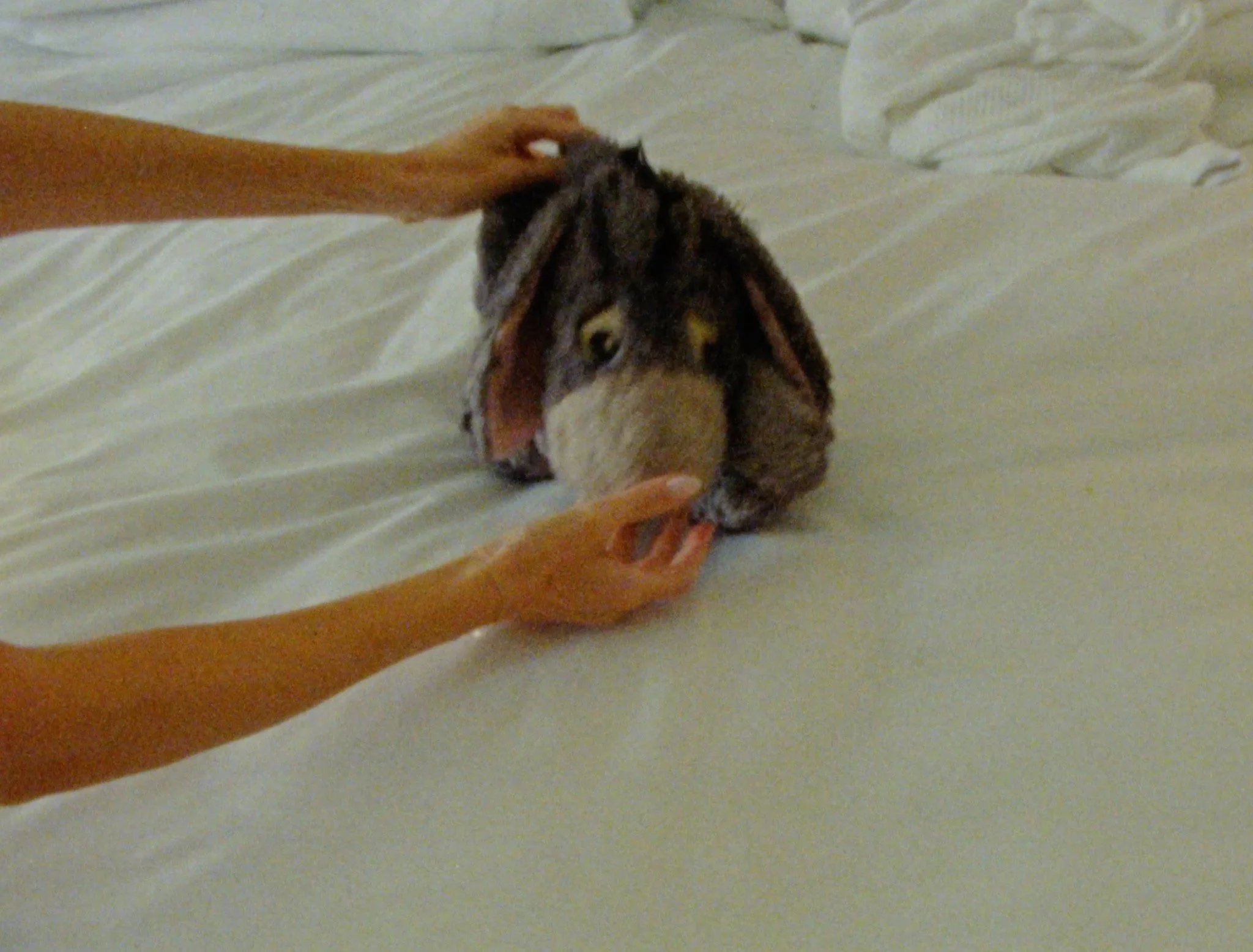 Jackie & Christian5.jpg