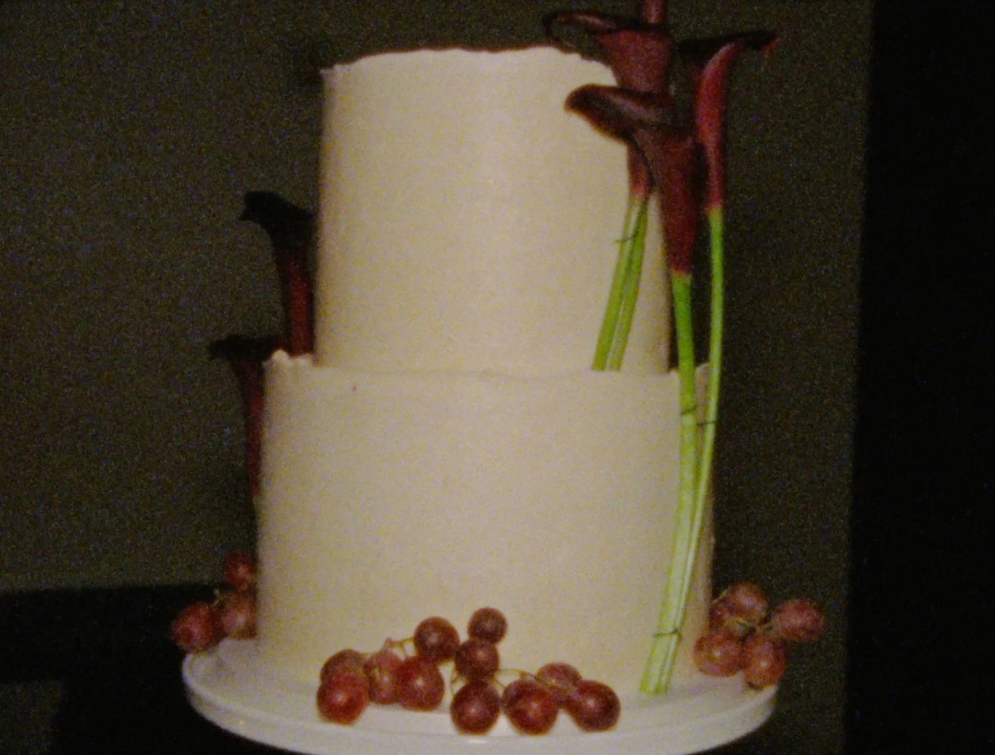 Tristan & Riley 72.jpg