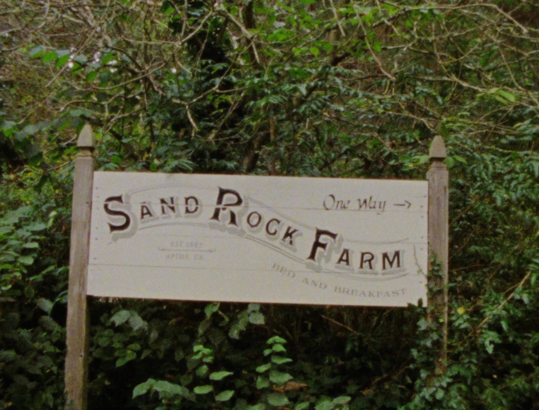 Thomas & Hanna 1.jpg