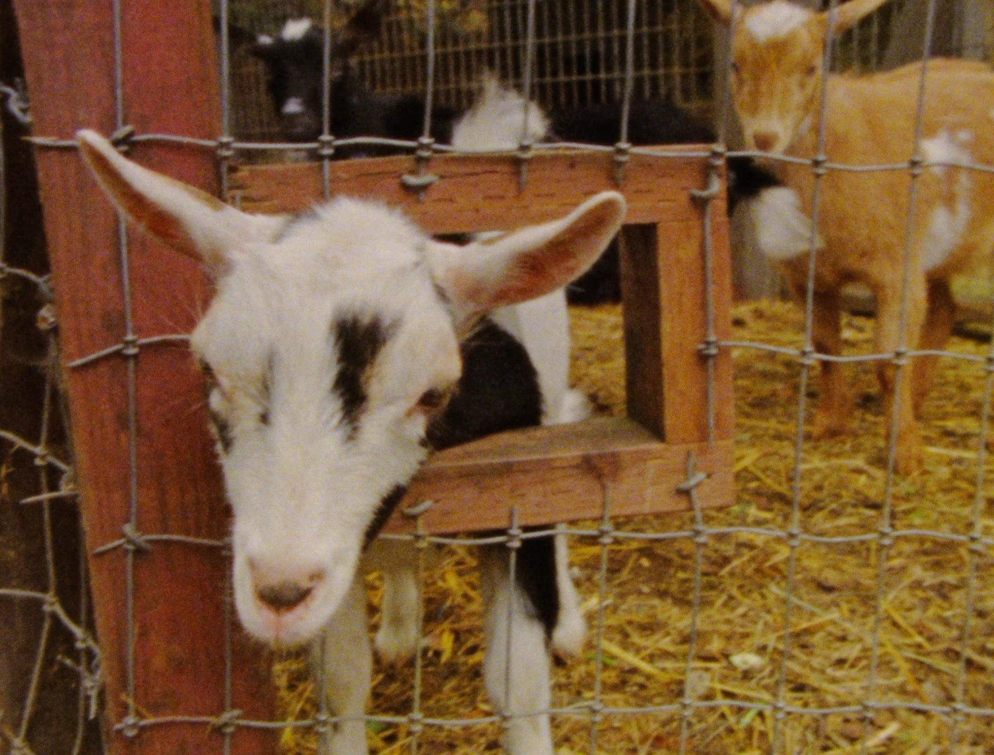 Thomas & Hanna 2.jpg