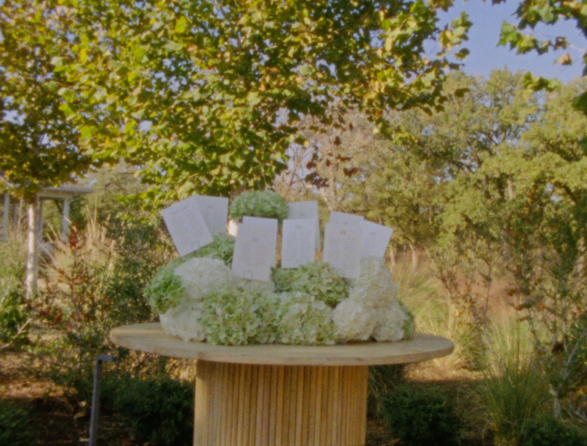 Riley & Nathan Sneaks 54.jpg