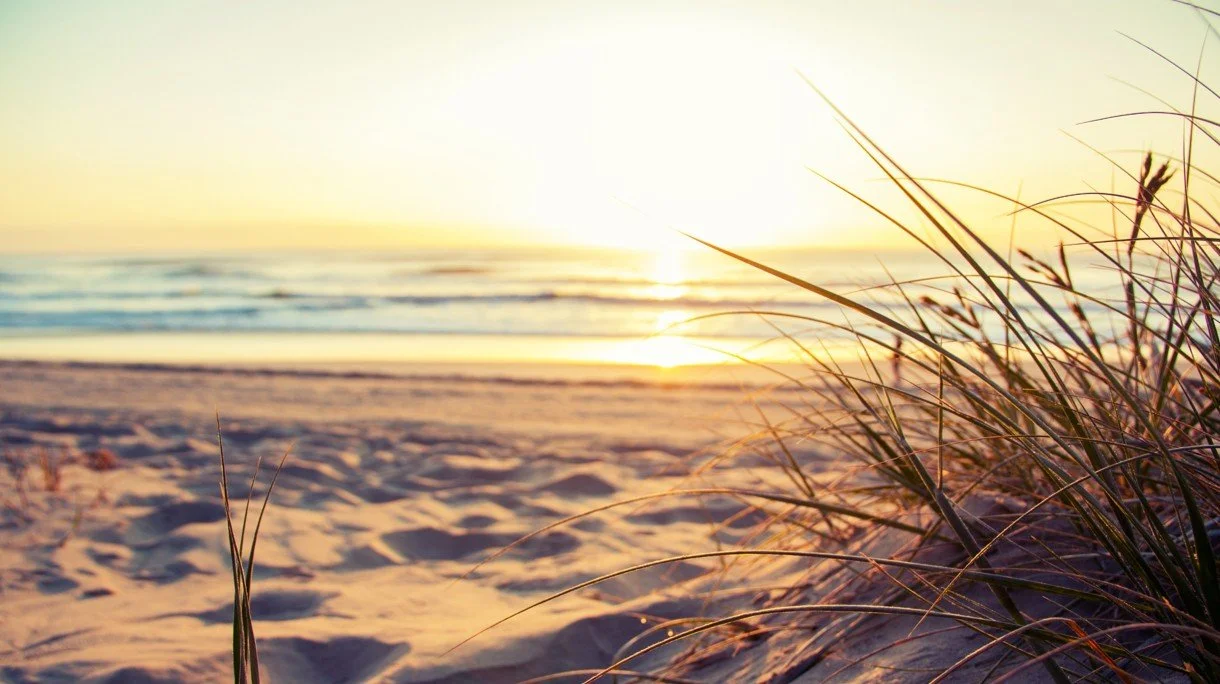 Authentic Honesty Finally Landed!