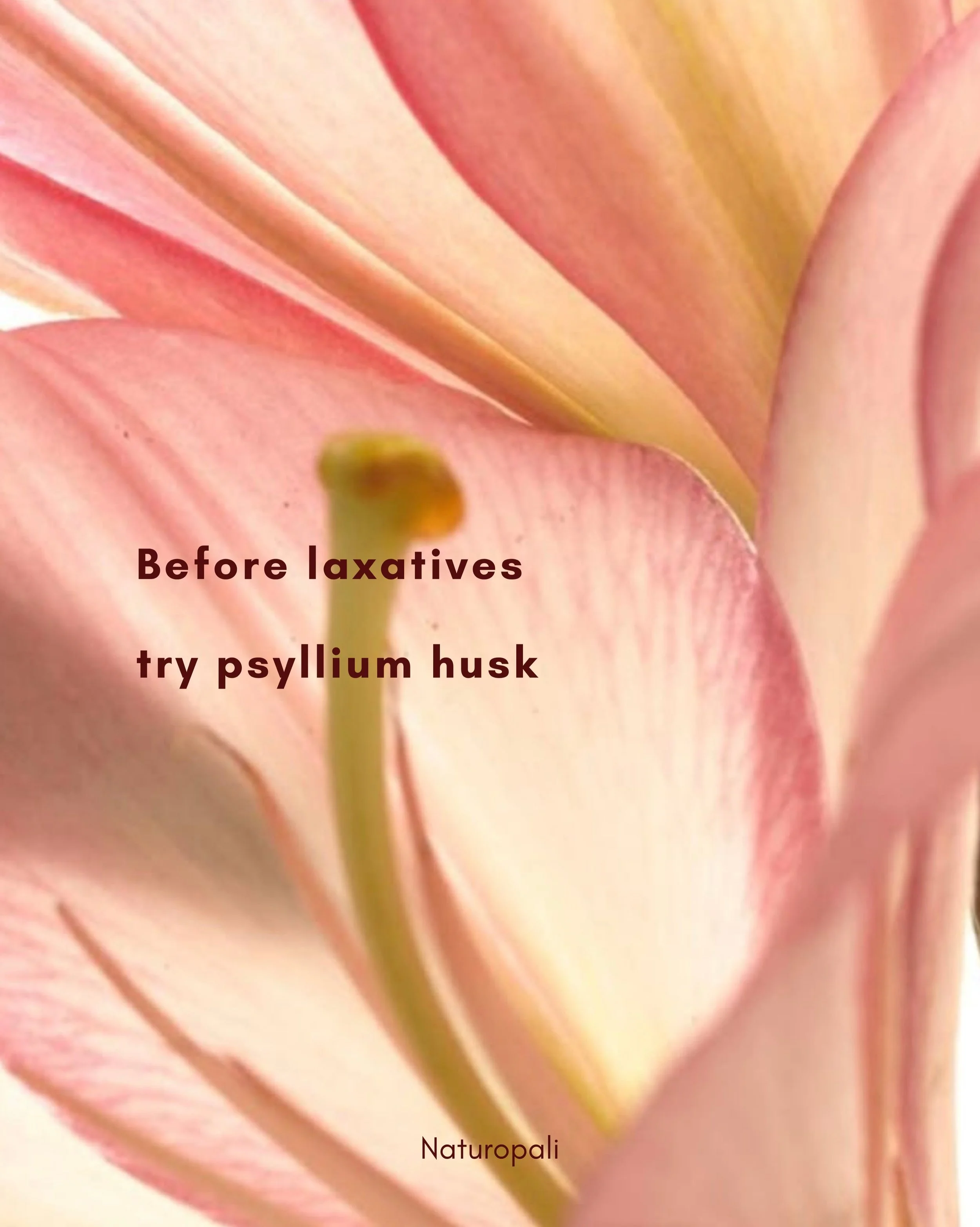 *generalised only. not tailored to every individual as each individual requires a different approach. 

each alternative is heavily backed with evidence based research. 

Feel free to book a free discovery call for your own personal approach to natur