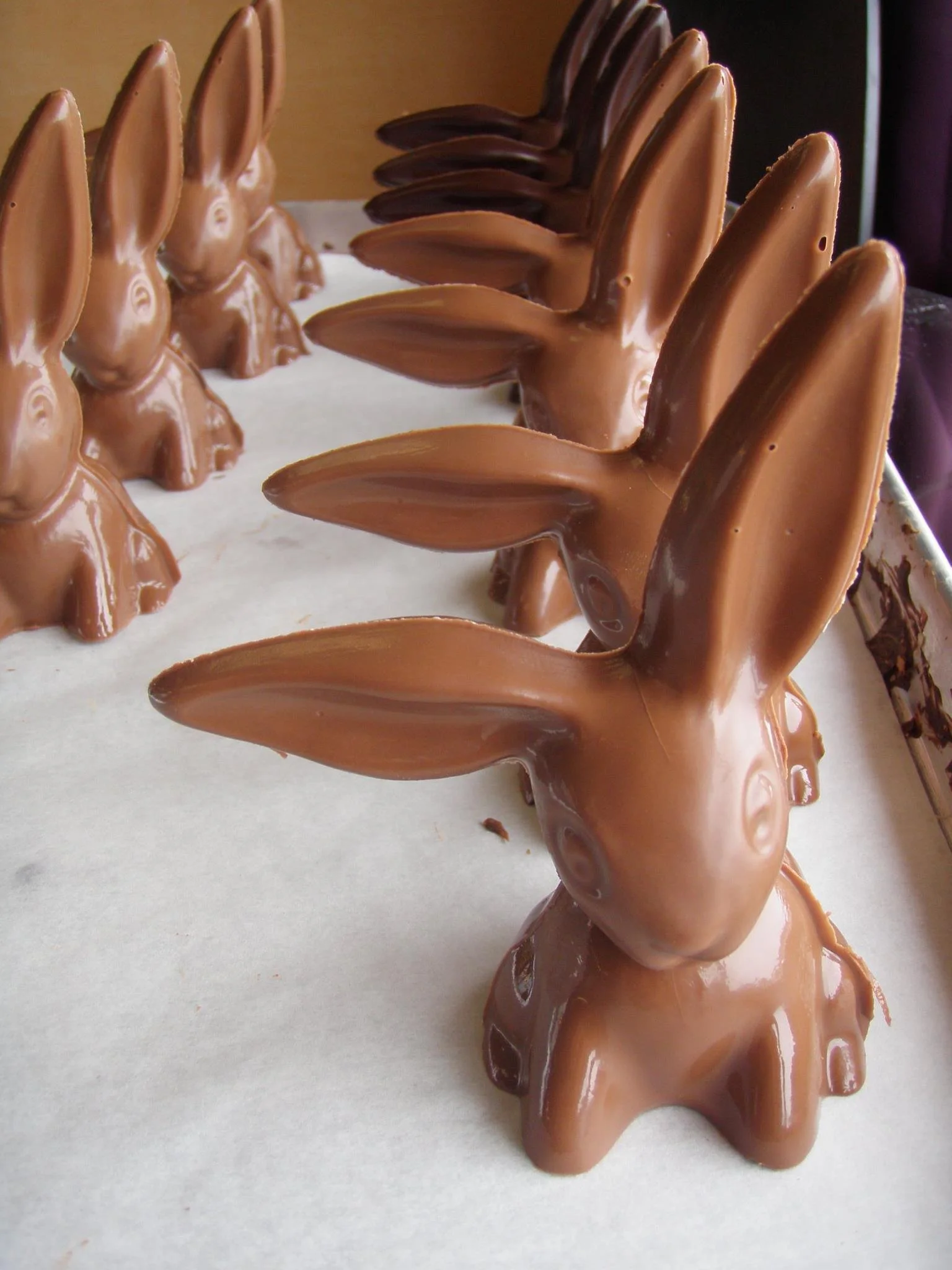 Chocolate Bunnies
