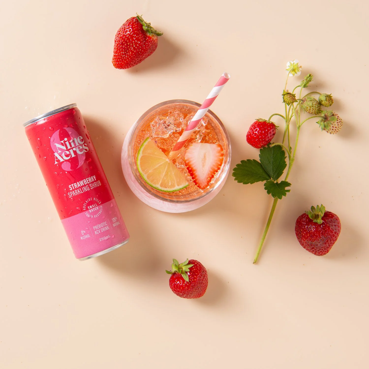 nine-acres-strawberry-shrub-drink.jpg