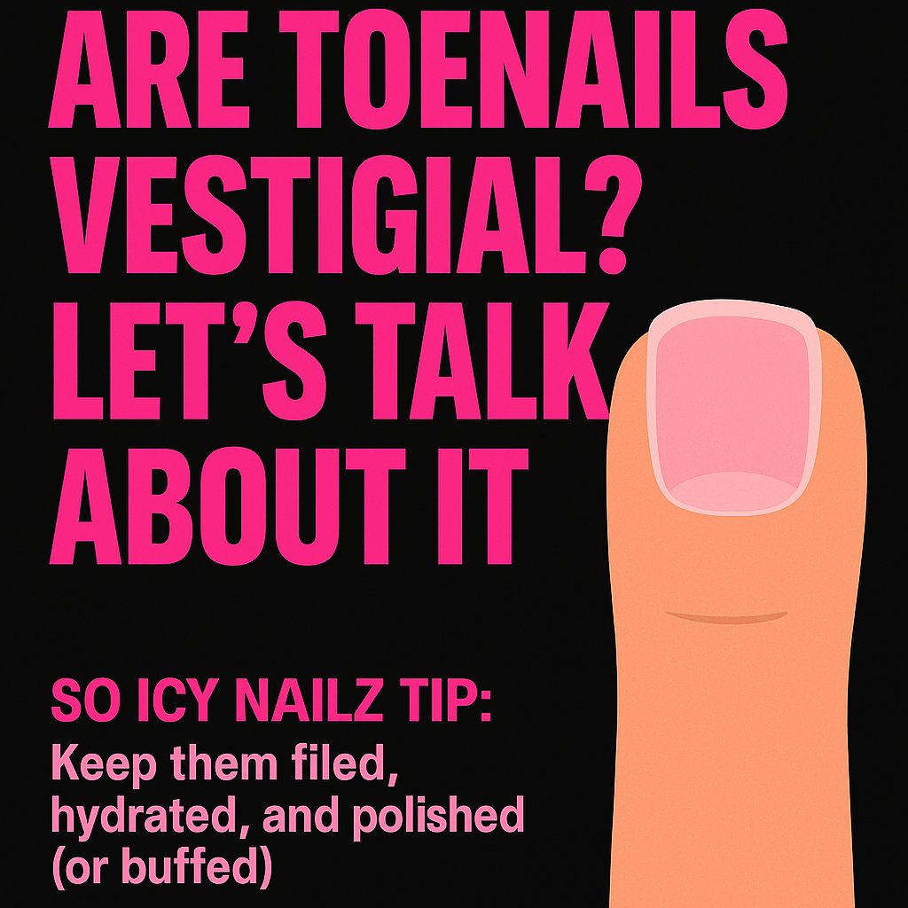 Are Toenails Vestigial? Let’s Talk About It
