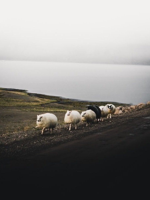 luke-stackpoole-u4Ln2-ULLiU-unsplash.jpg