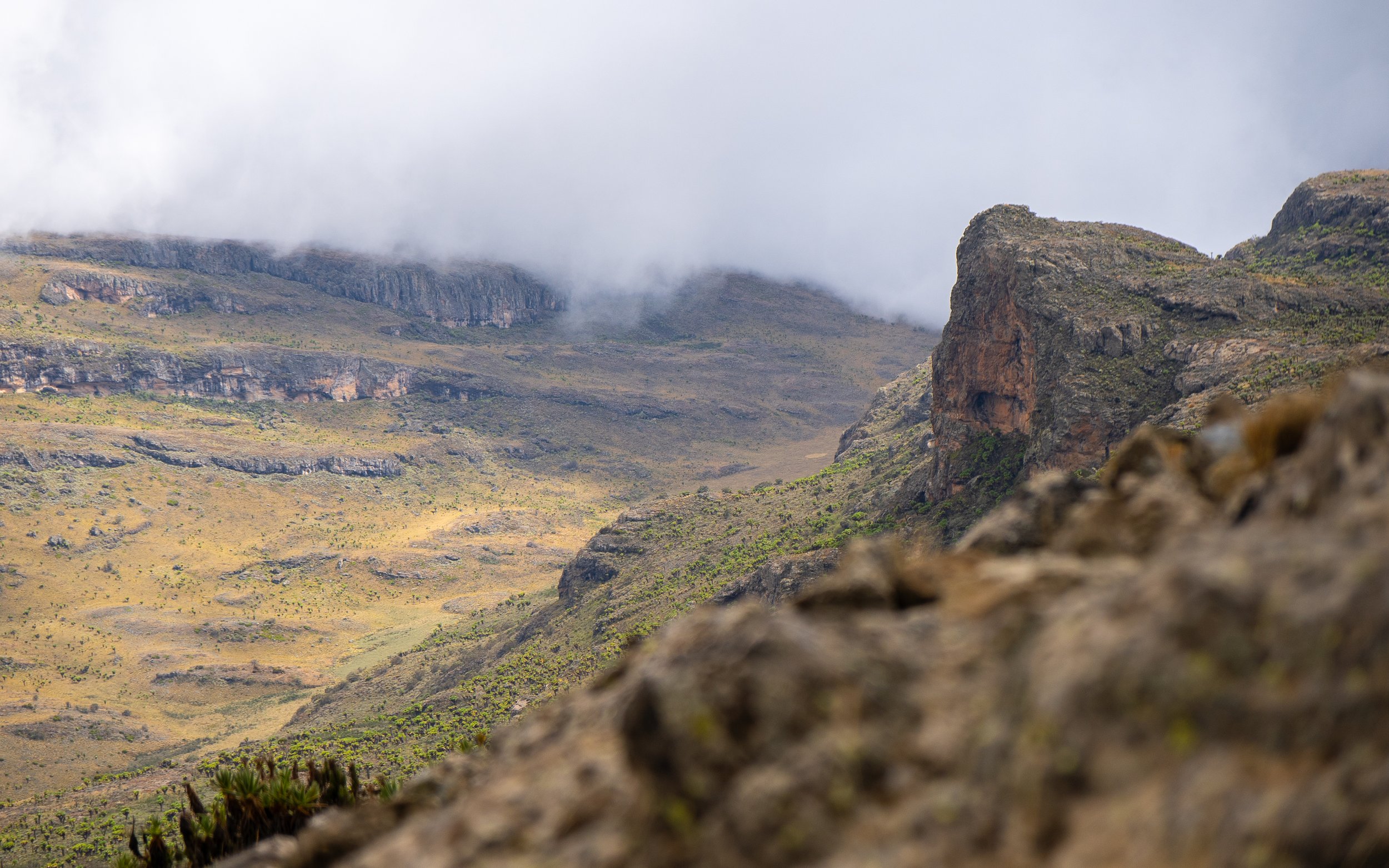 TTP23Elgon-77.jpg