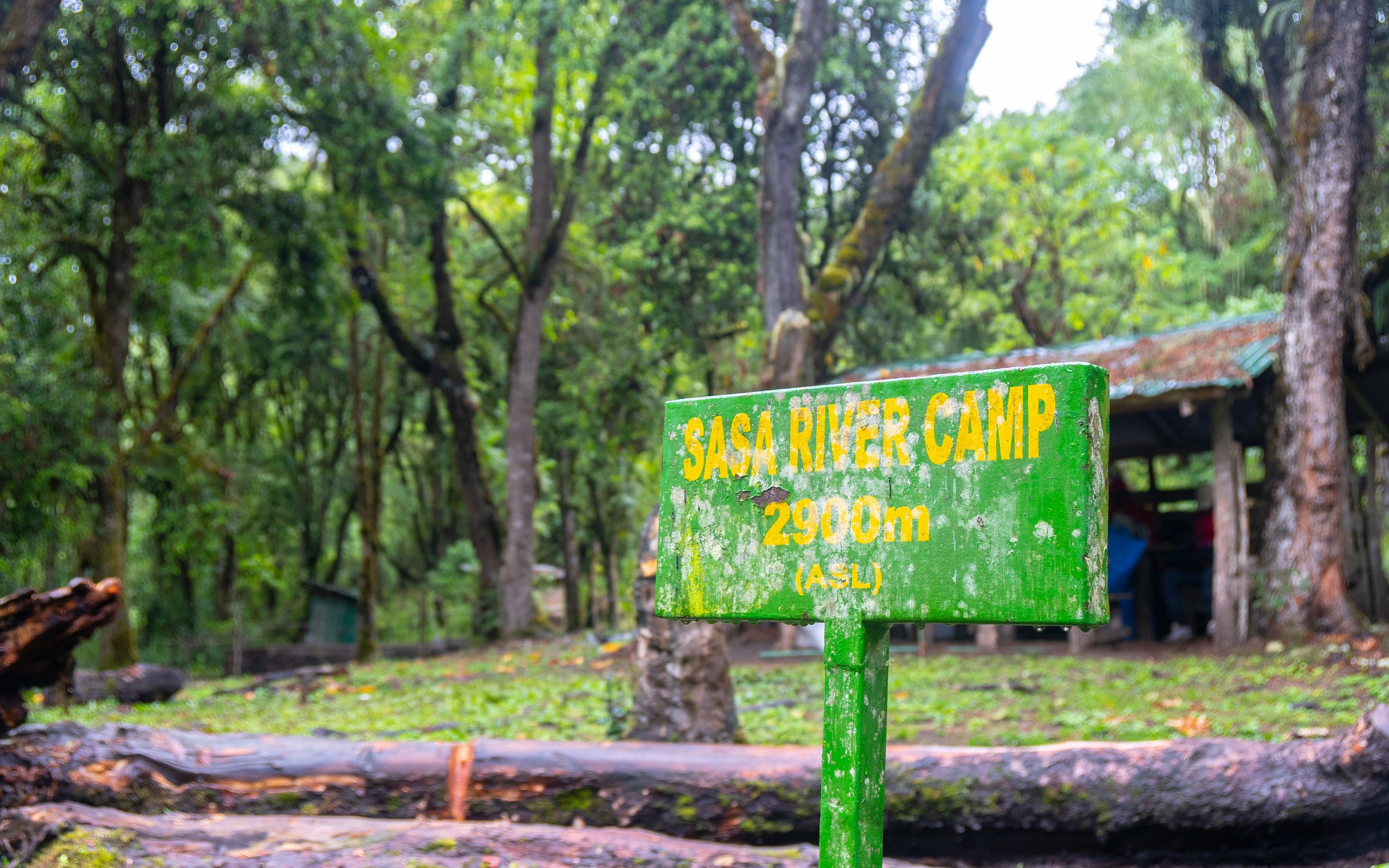 TTP23Elgon-22.jpg