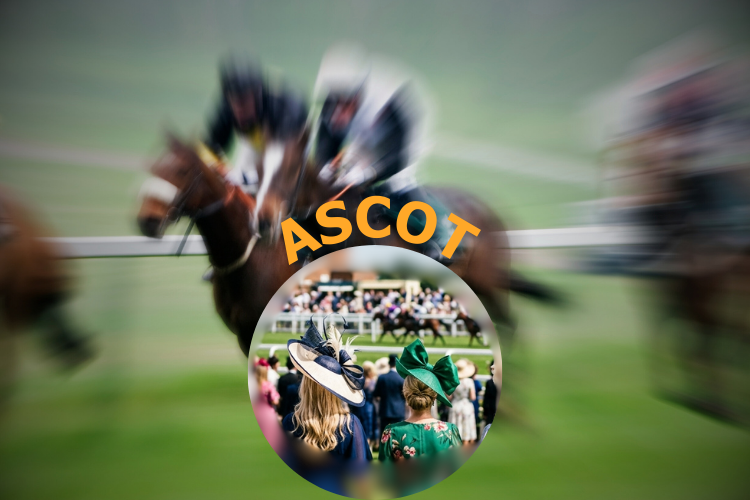 fbe National - Ascot Races